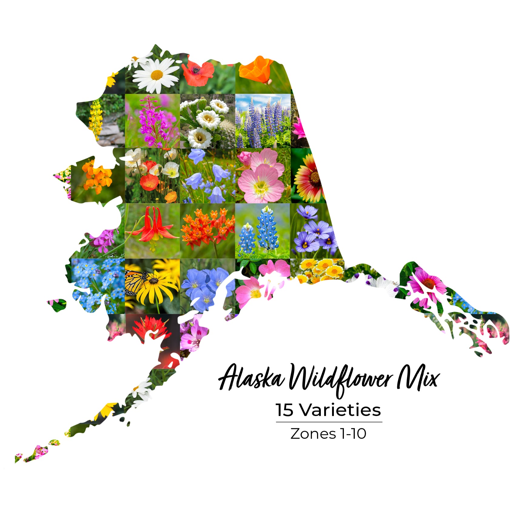 Alaska wildflower seed mix