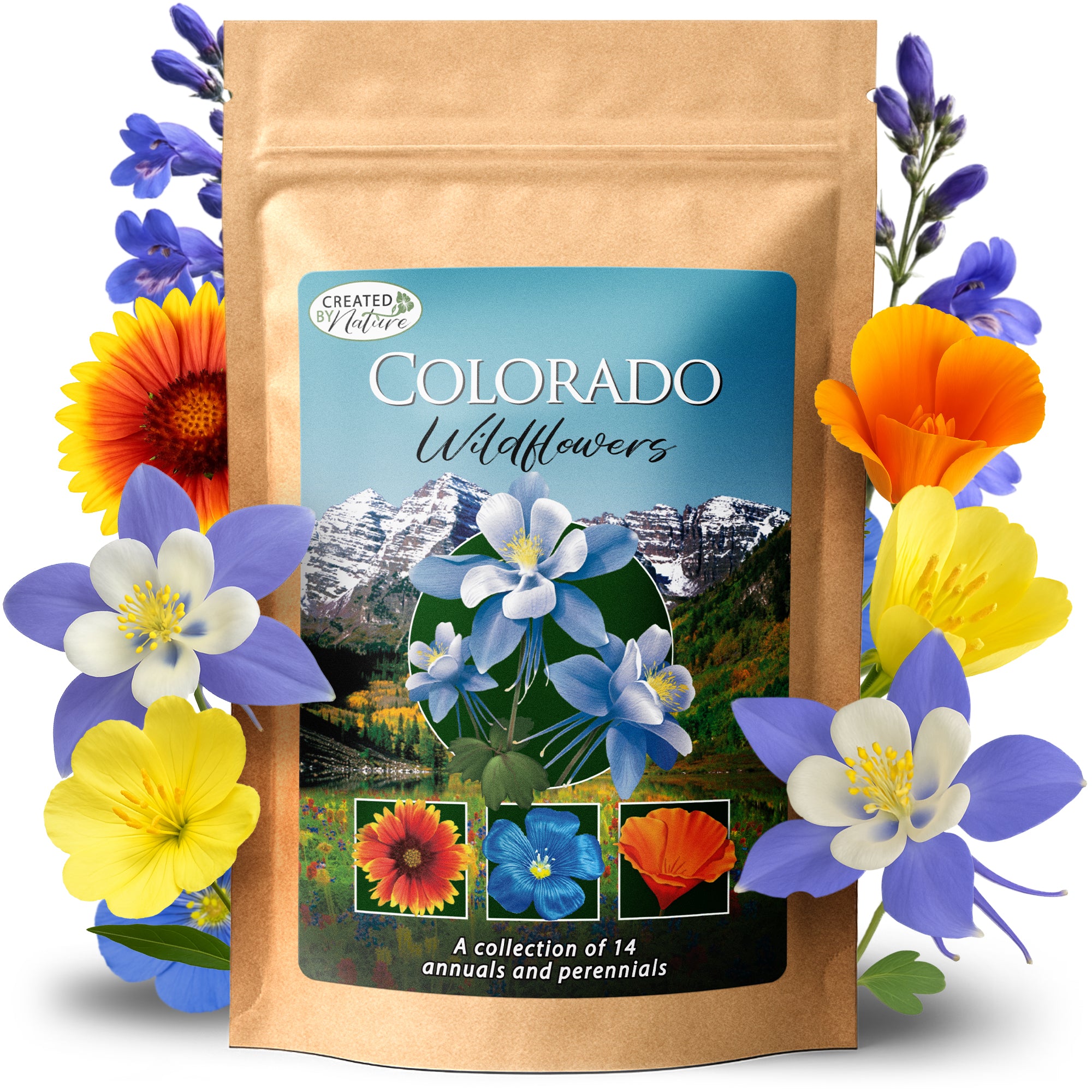 wildflowers from seed Colorado Wildflower Seed Mix