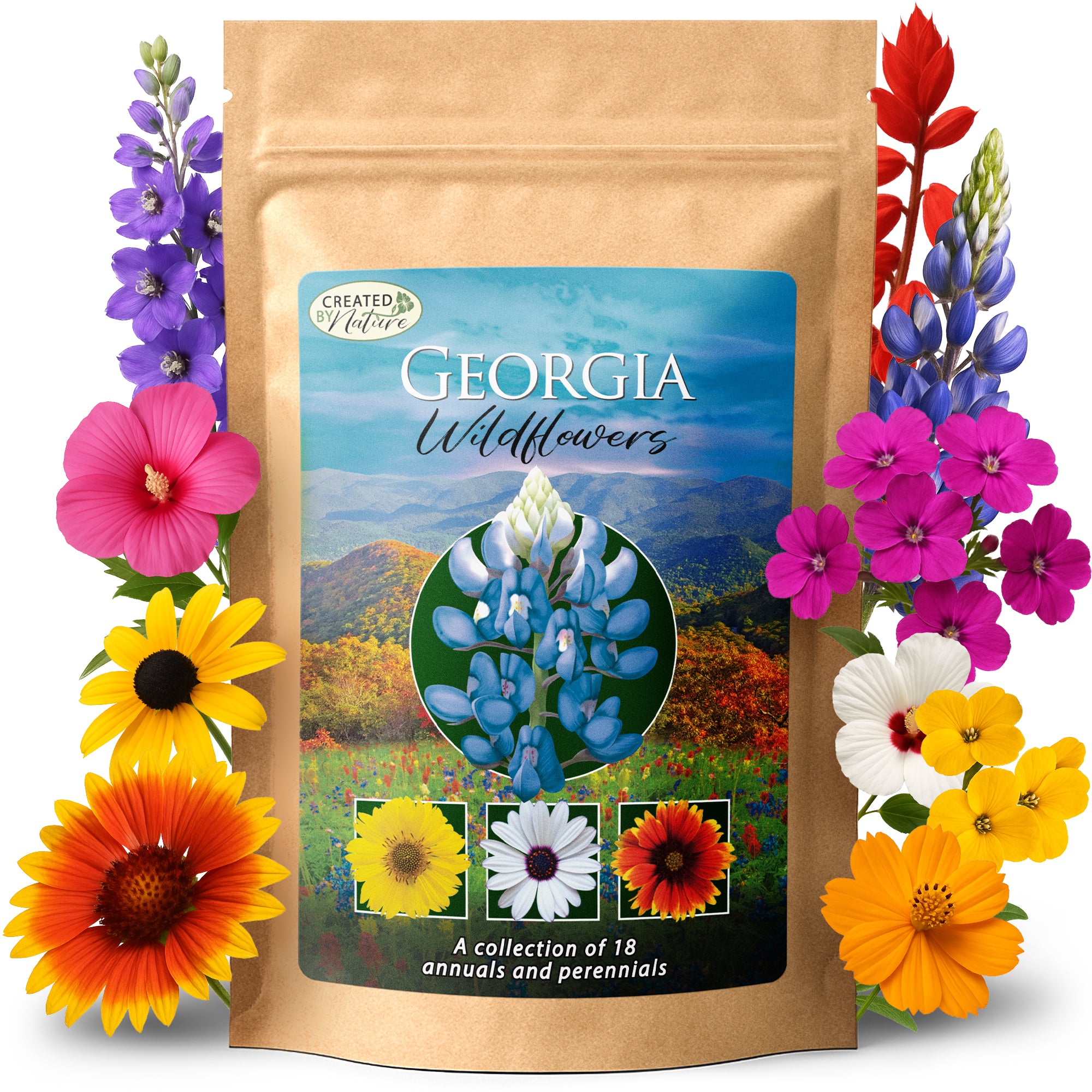 Georgia Wildflower Seed Mix | Wildflower Seeds for Georgia