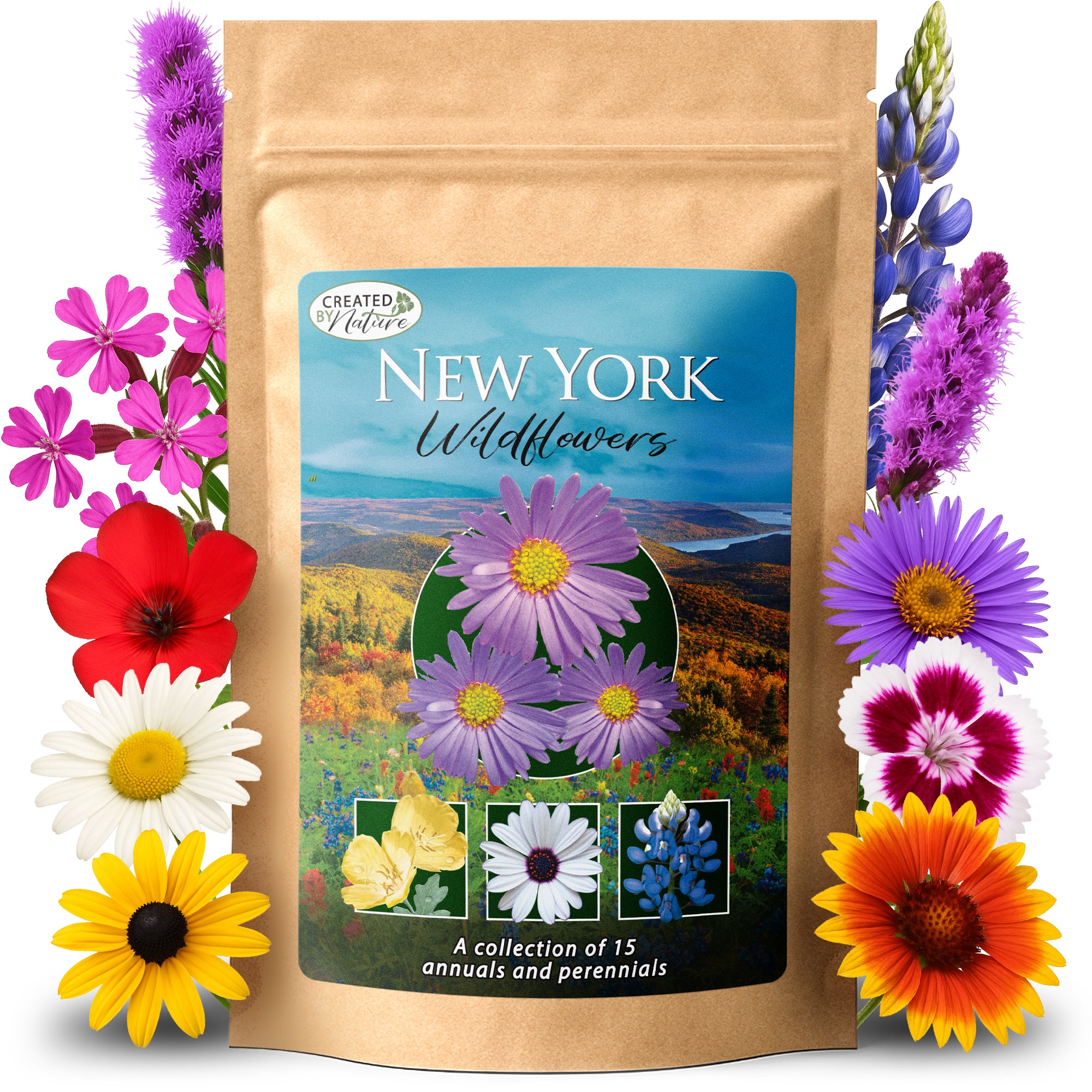 flower seed packets near me New York Wildflower Seed Mix