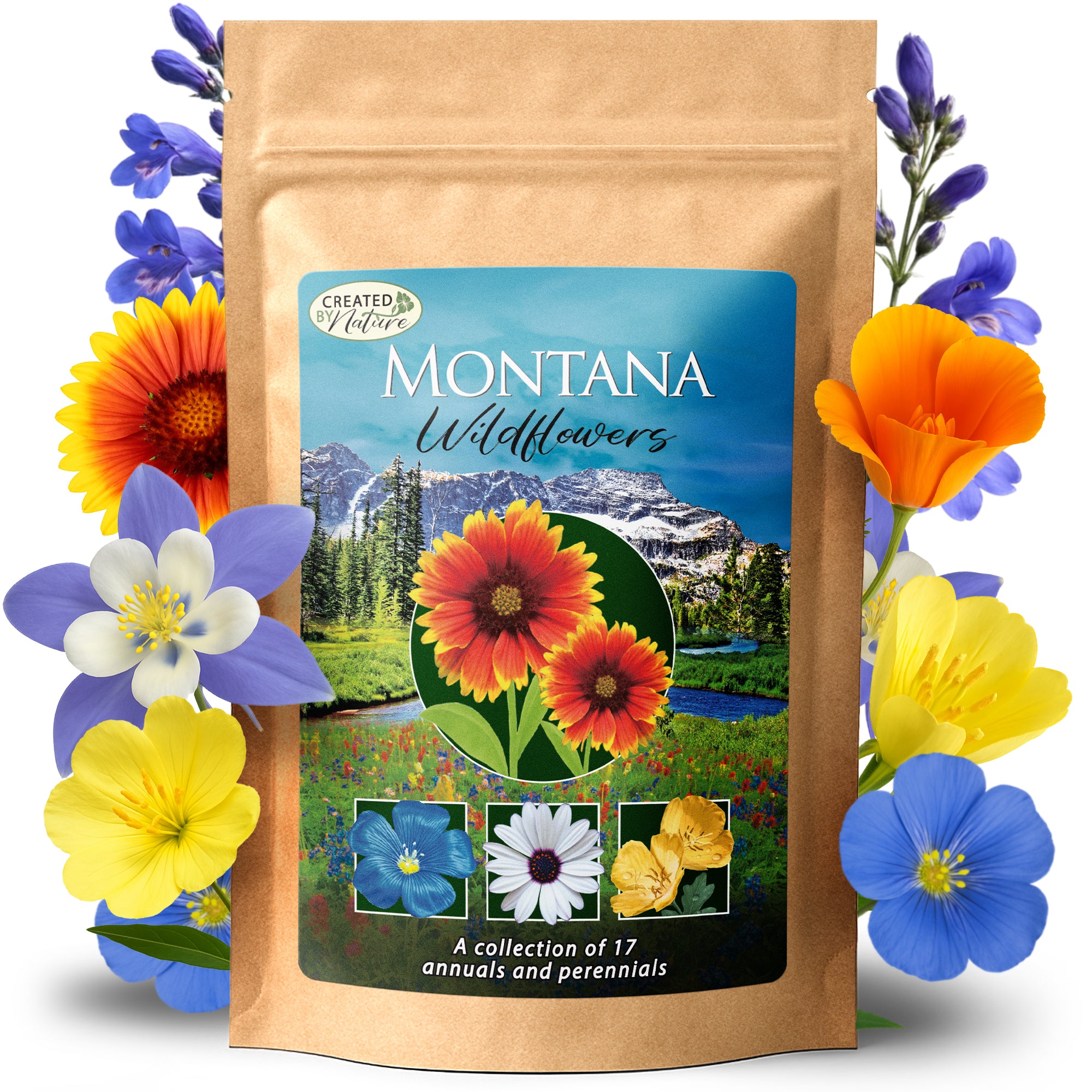 Montana Wildflower Seed Mix | Wildflower Seeds for Montana
