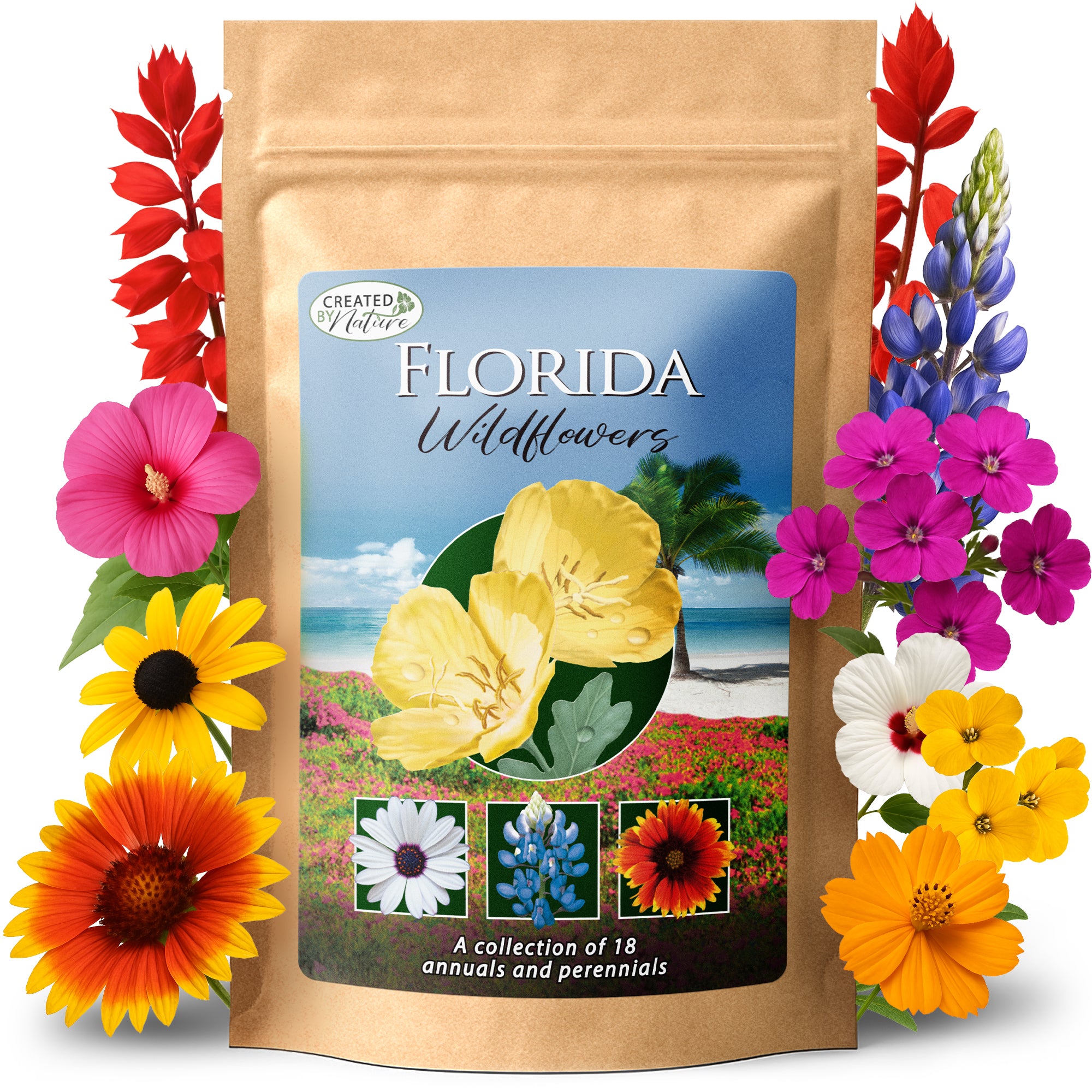 flowe seeds Florida Wildflower Seed Mix