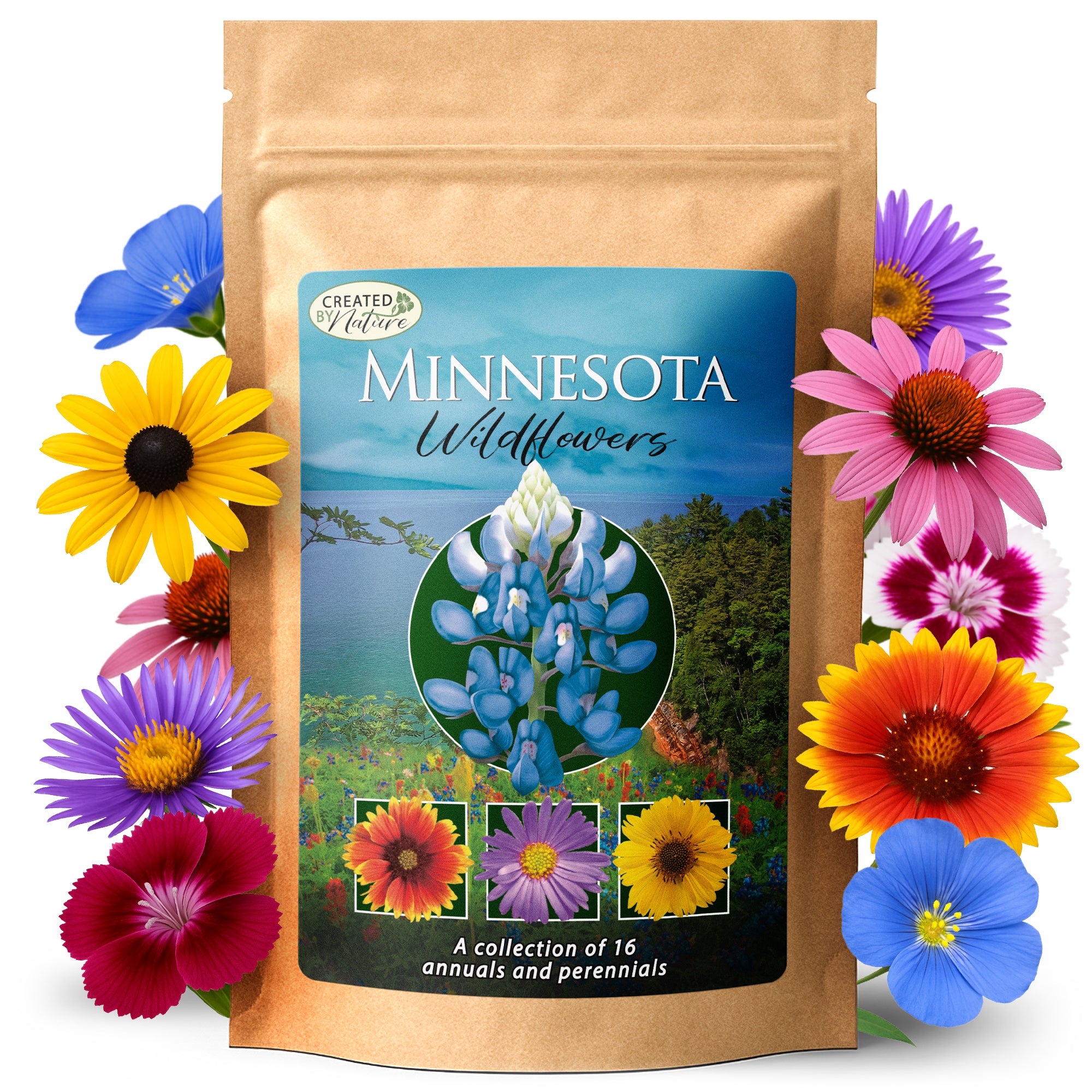 natural wildflower seeds Created By Nature Minnesota Wildflower Seed Mix, 16 Flower Varieties, 40,000+ Seeds