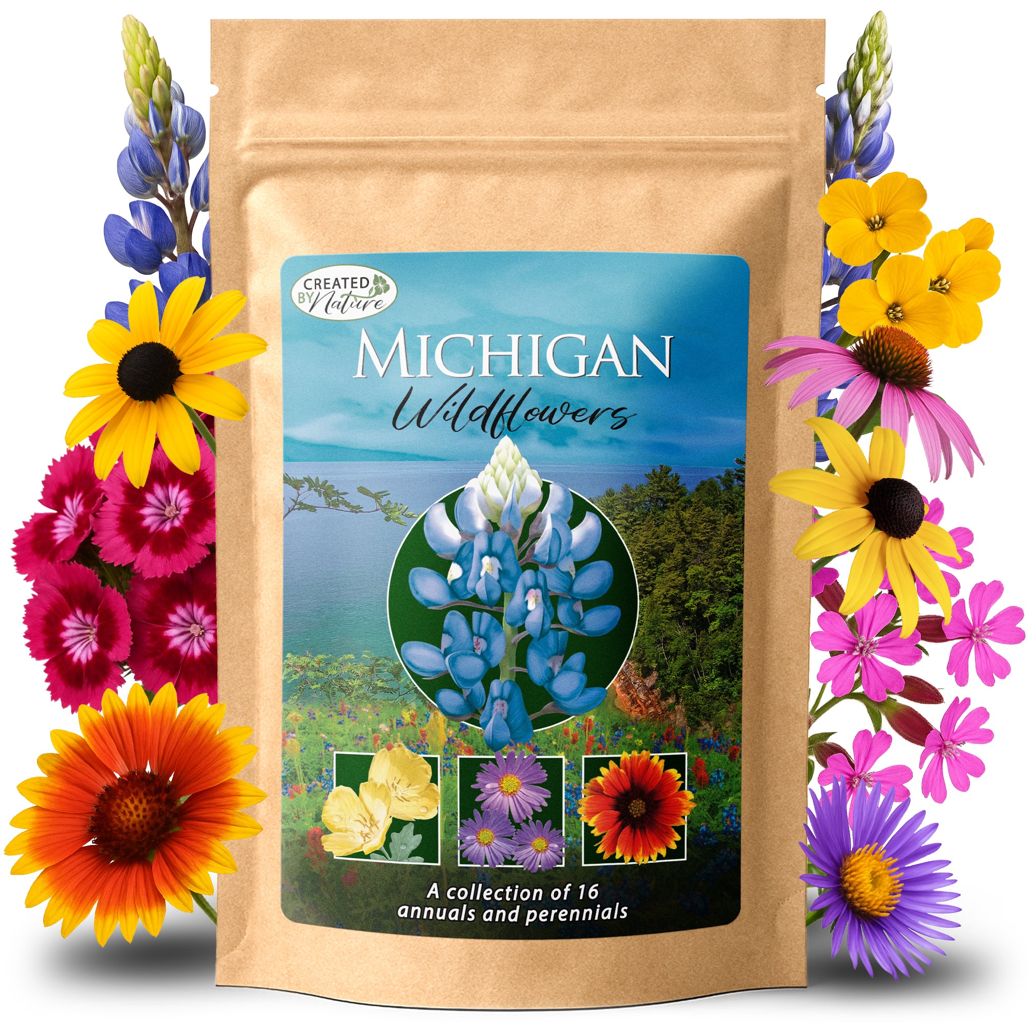 texas wildflower mix seeds Michigan Wildflower Seed Mix