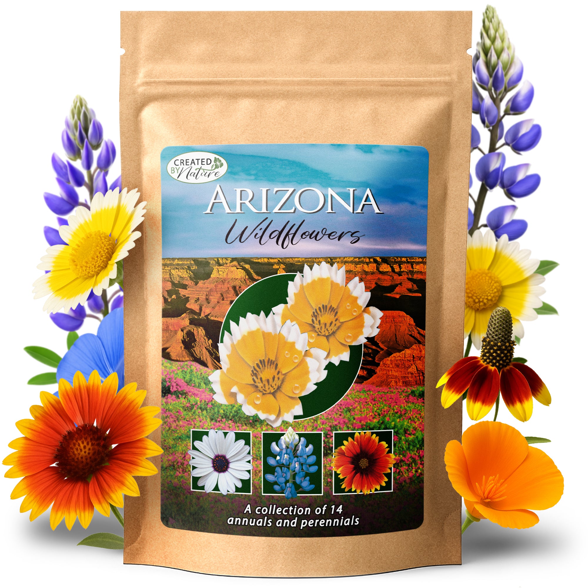 zone 3 wildflower seeds Arizona Wildflower Seed Mix