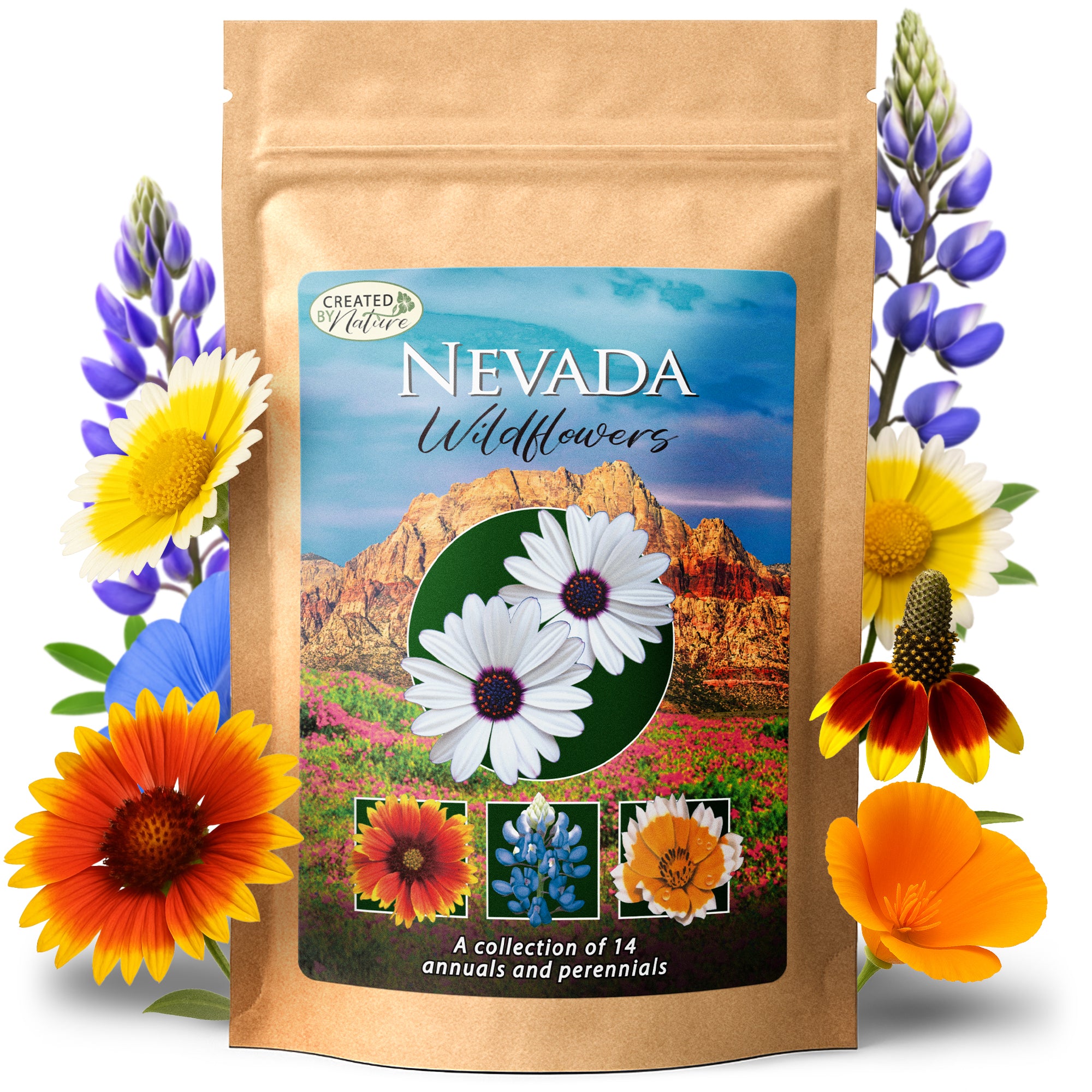Nevada Wildflower Seed Mix | Wildflower Seeds for Nevada
