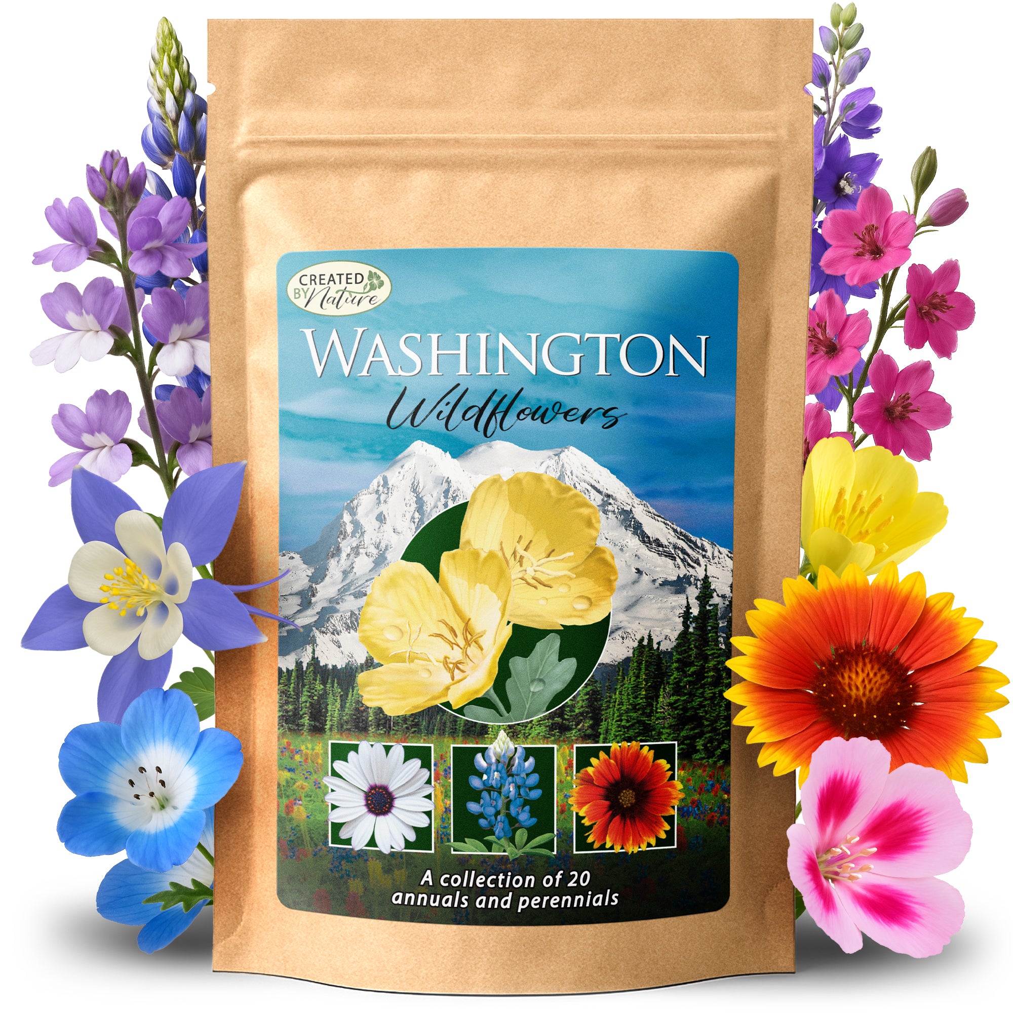best place to buy flower seeds near me Washington Wildflower Seed Mix, 20 Flower Varieties, 60,000+ Seeds