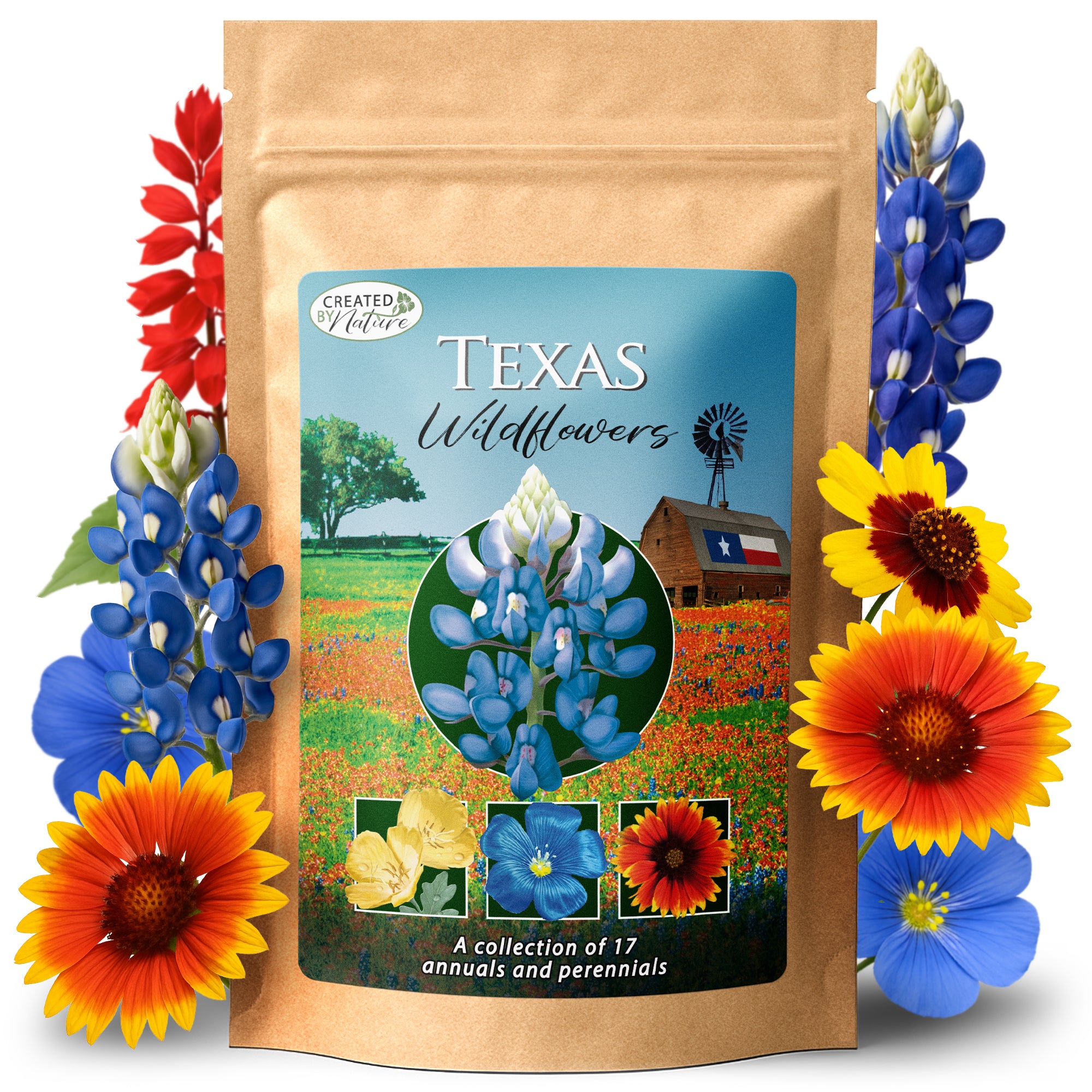 where to buy local wildflower seeds Texas Wildflower Seed Mix