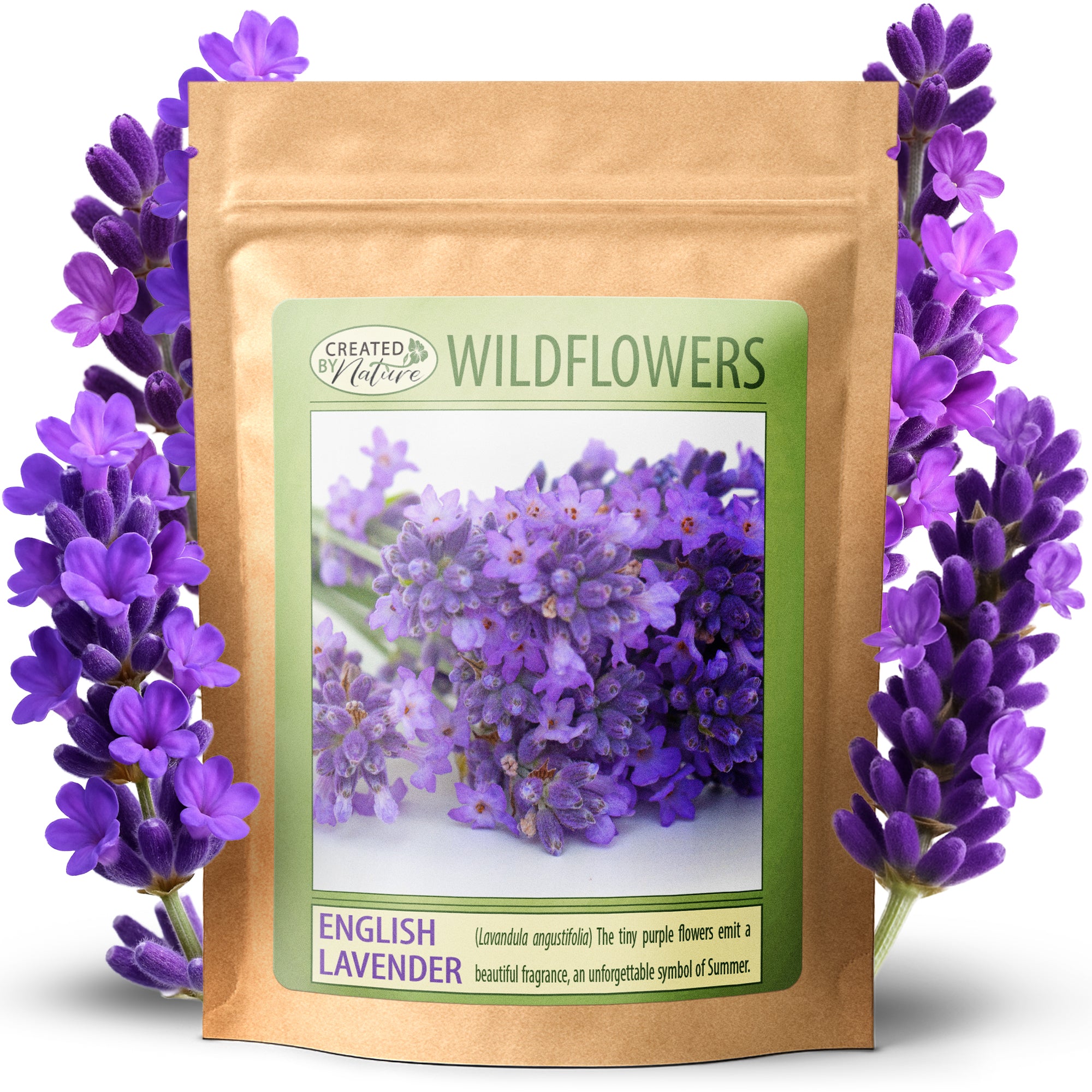 lavender plant seed Created By Nature English Lavender Flower Seeds for Planting - Over 3,000 Premium Seeds - Attracts Pollinators