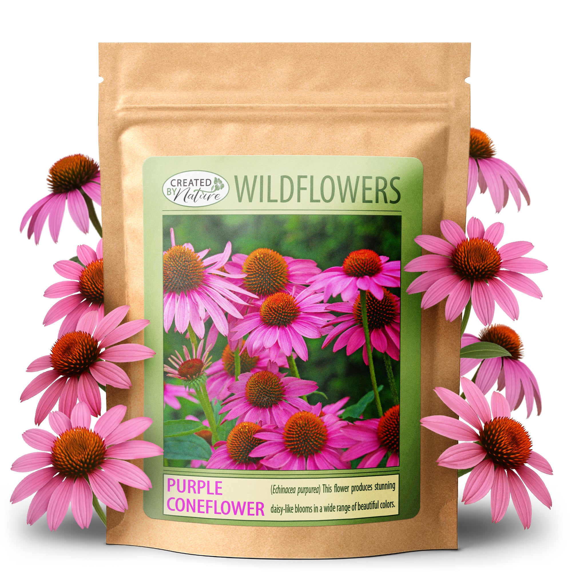 purple flower seeds Created By Nature Purple Coneflower Seeds, 3,800 Perennial Flower Seeds, Deer-Resistant Perennial Wildflower Seeds