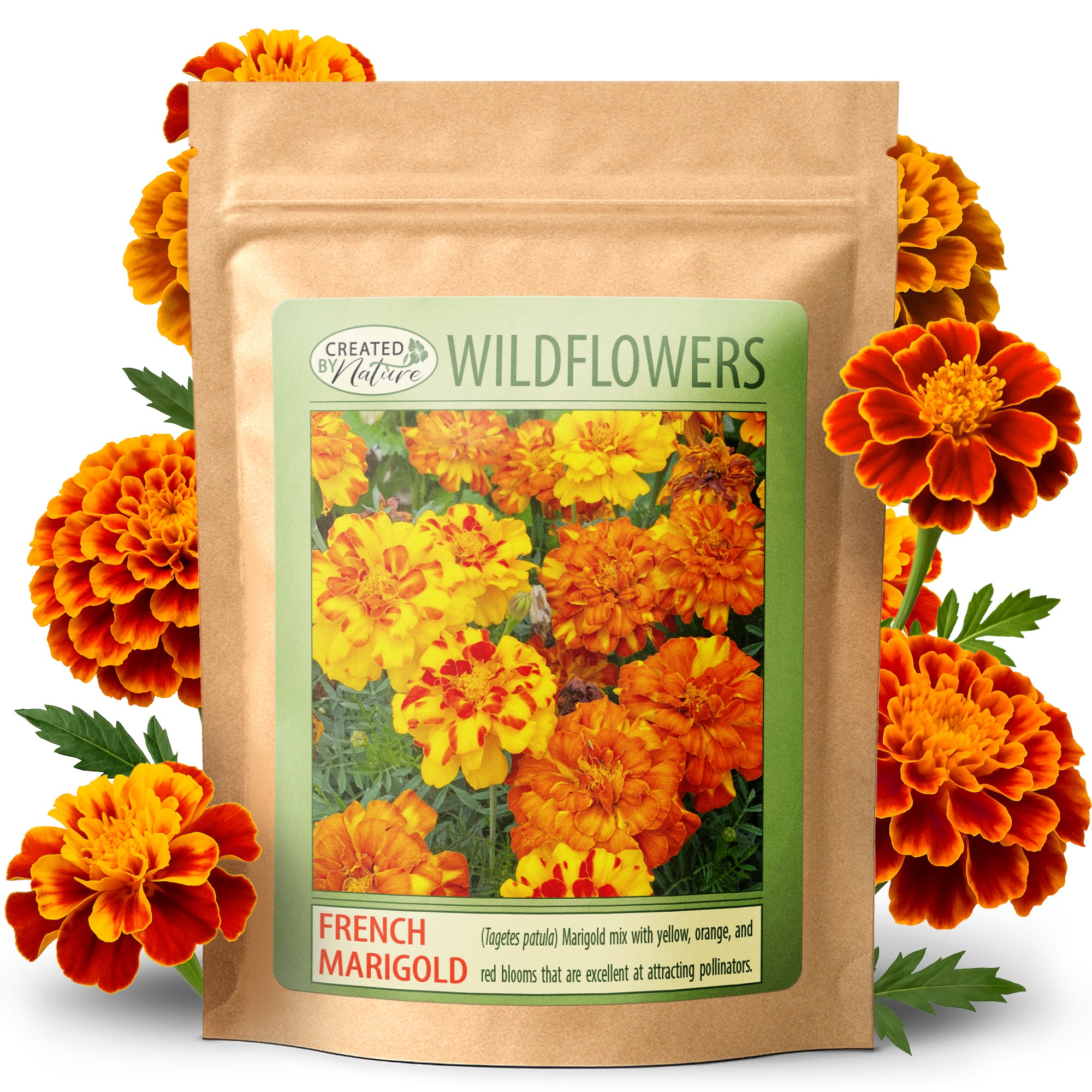 marigold flower seeds near me French Marigold Wildflower Seeds