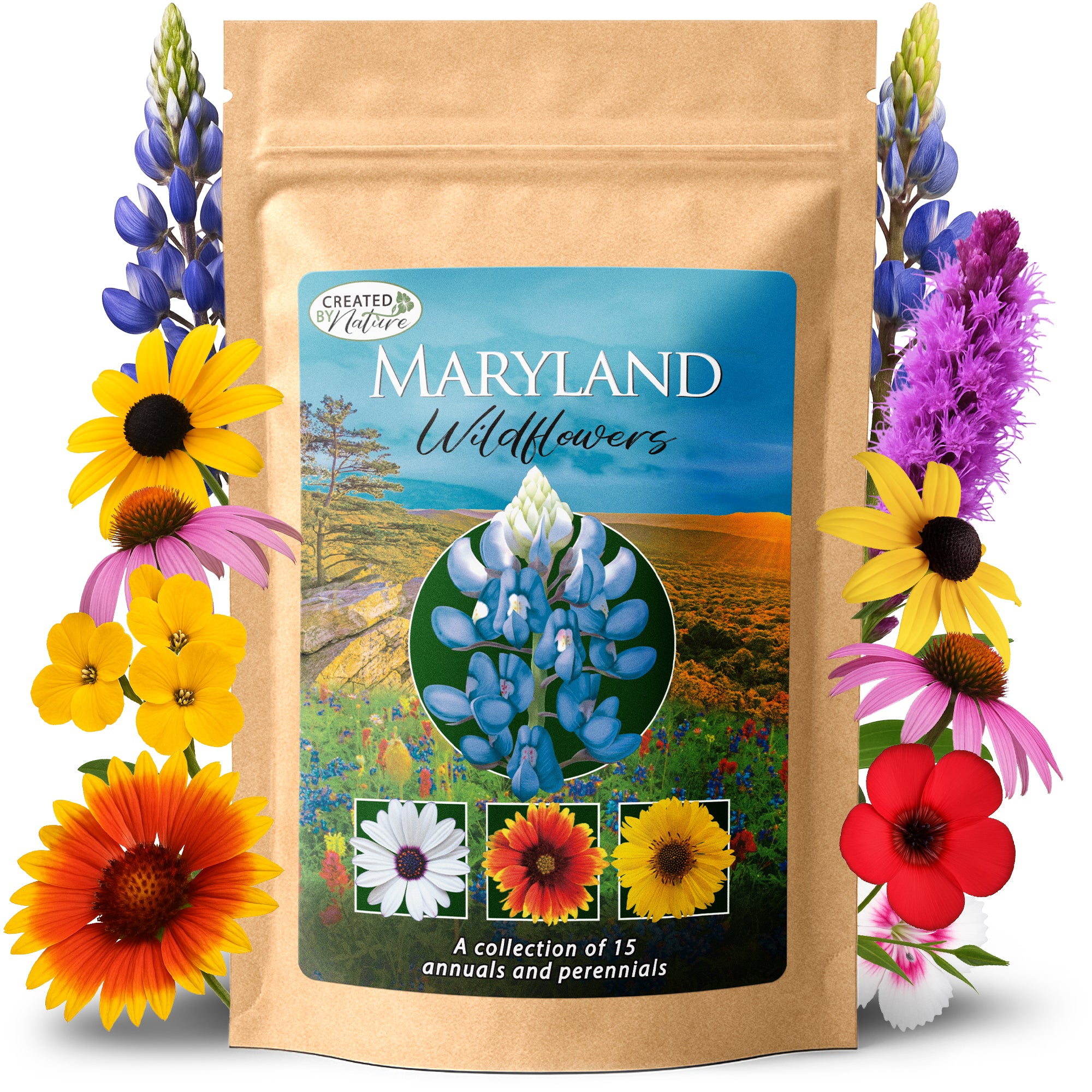 large wildflower seed mix Maryland Wildflower Seed Mix, 15 Flower Varieties, 50,000 Seeds