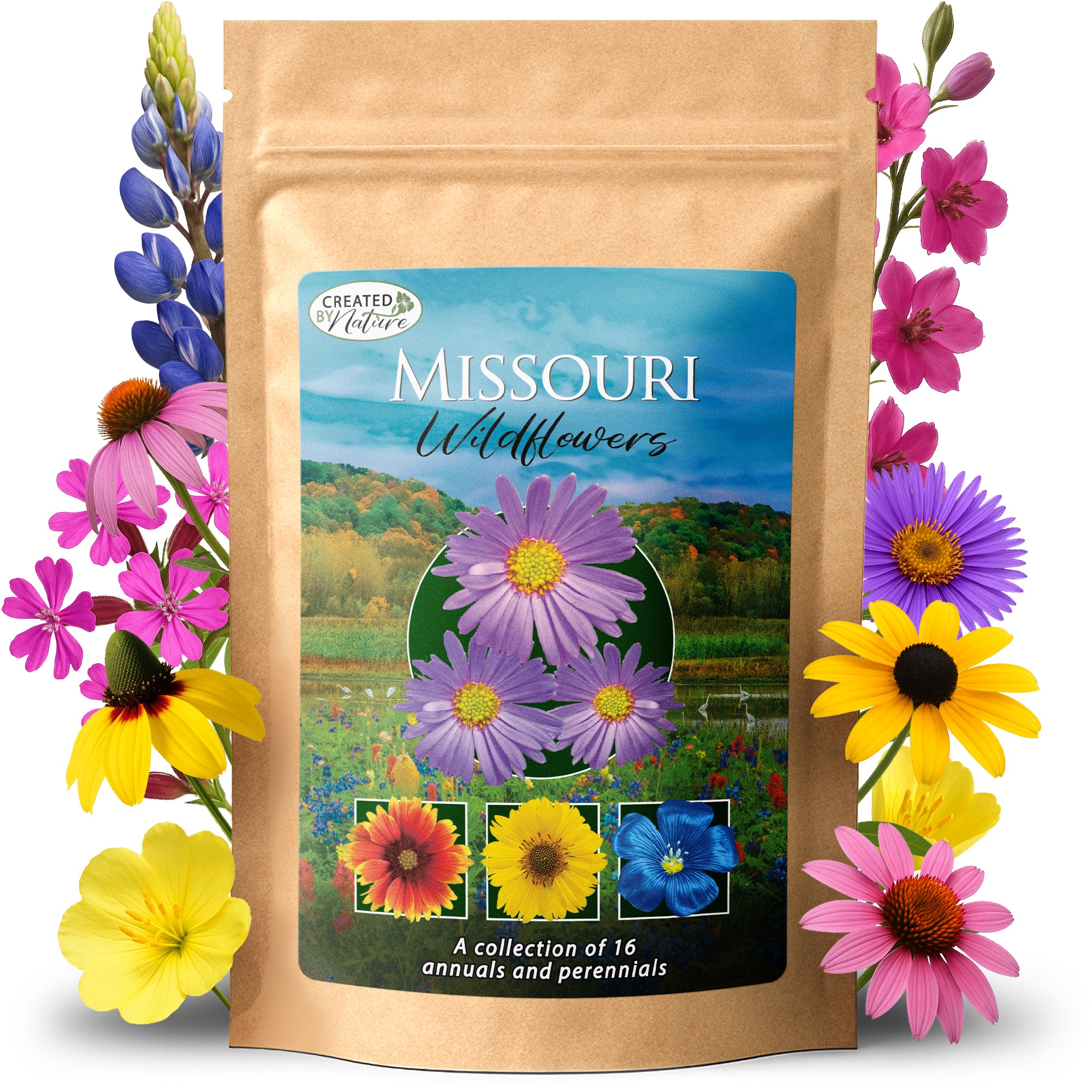 missouri wildflower seed bombs Missouri Wildflower Seed Mix