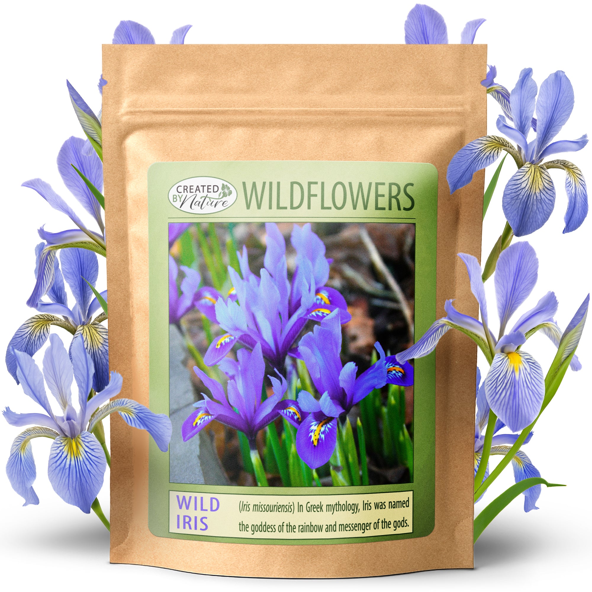 iris flower seeds Wild Iris Seeds