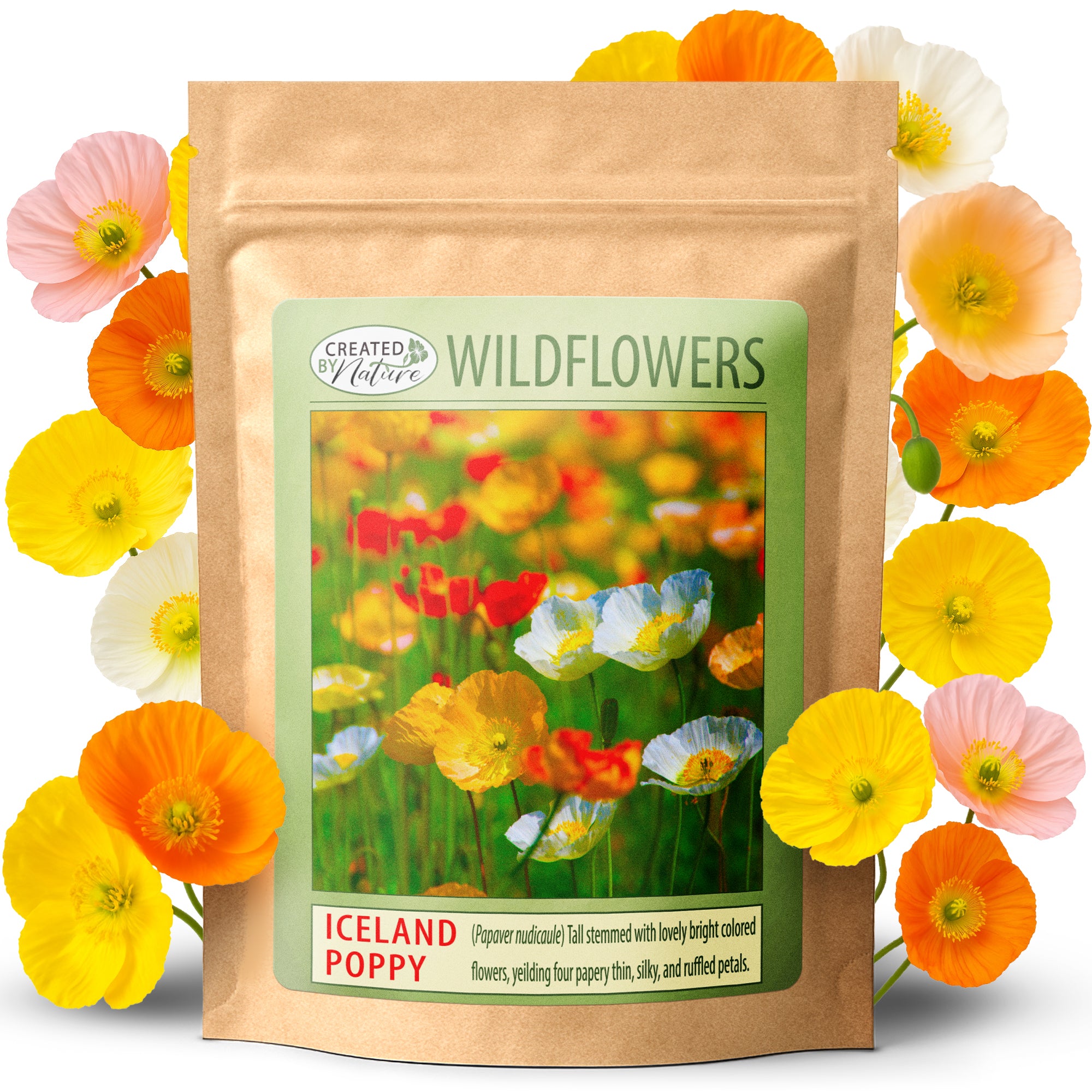poppy wildflower seeds Iceland Poppy Seeds
