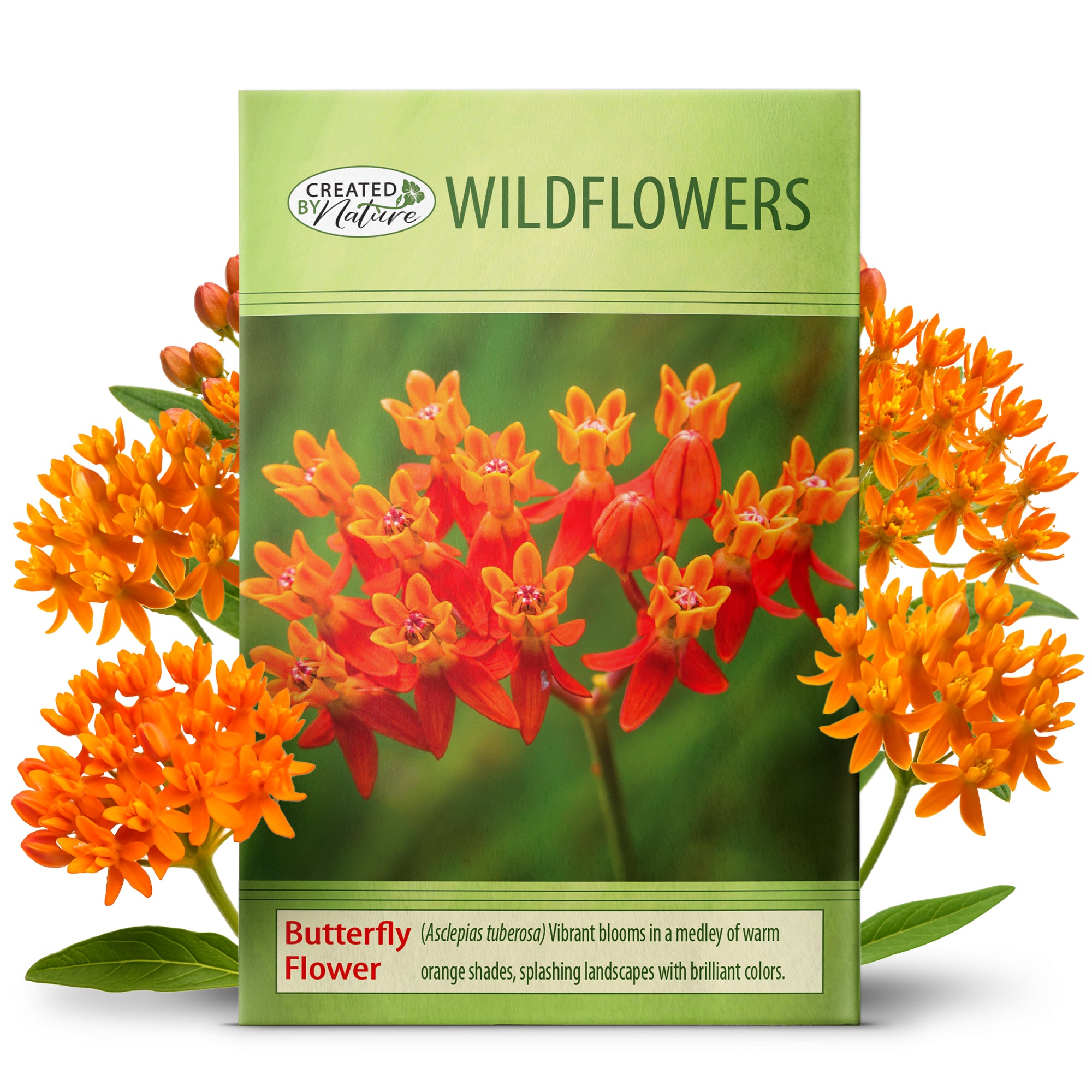 Butterfly Milkweed Wildflower Seeds