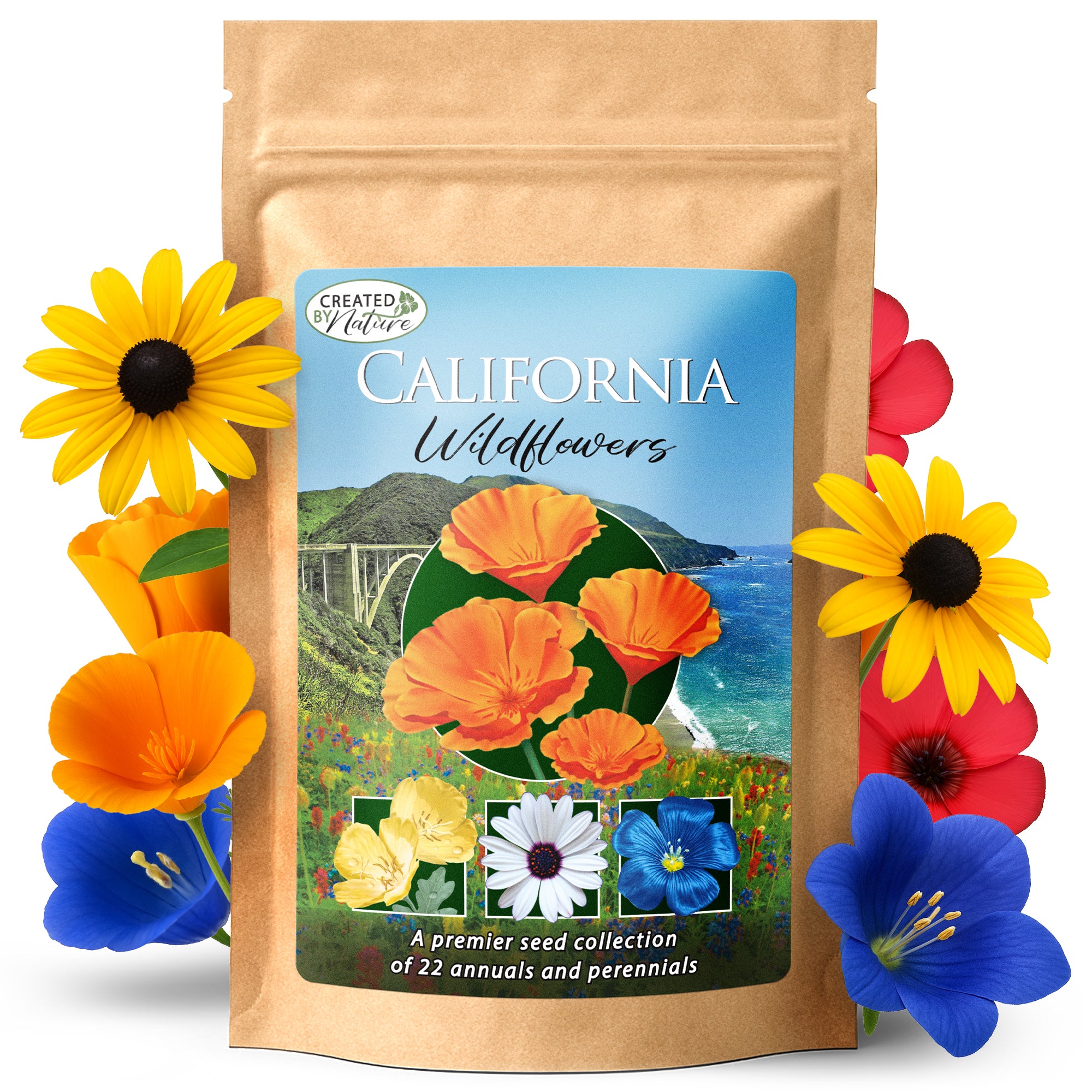 perennial wildflower seeds home depot California Wildflower Seed Mix