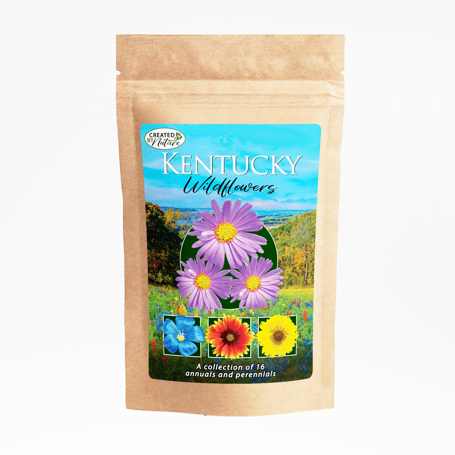 plant seed mix Kentucky Wildflower Seed Mix