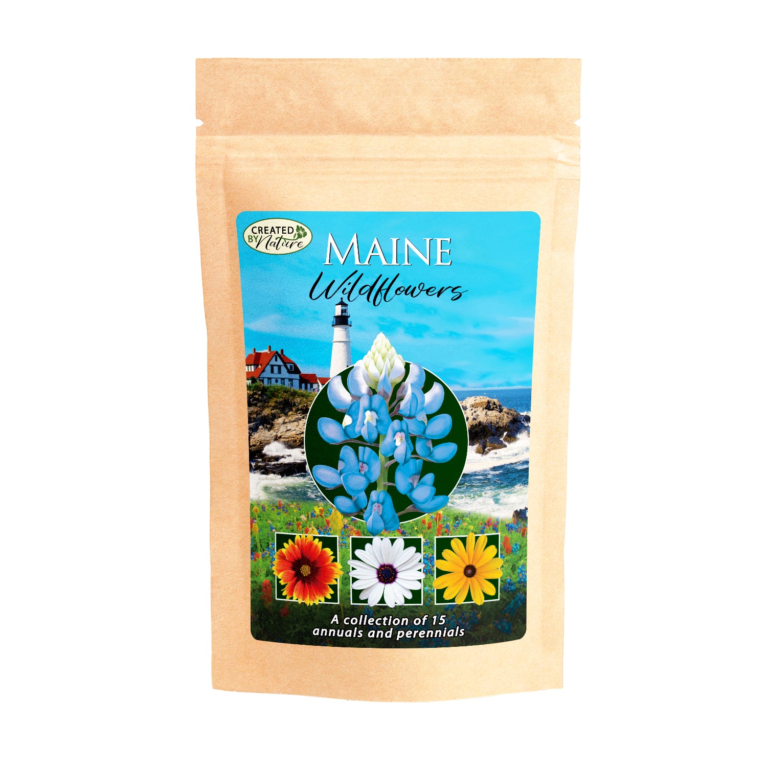 wildflower seeds maine Maine Wildflower Seed Mix