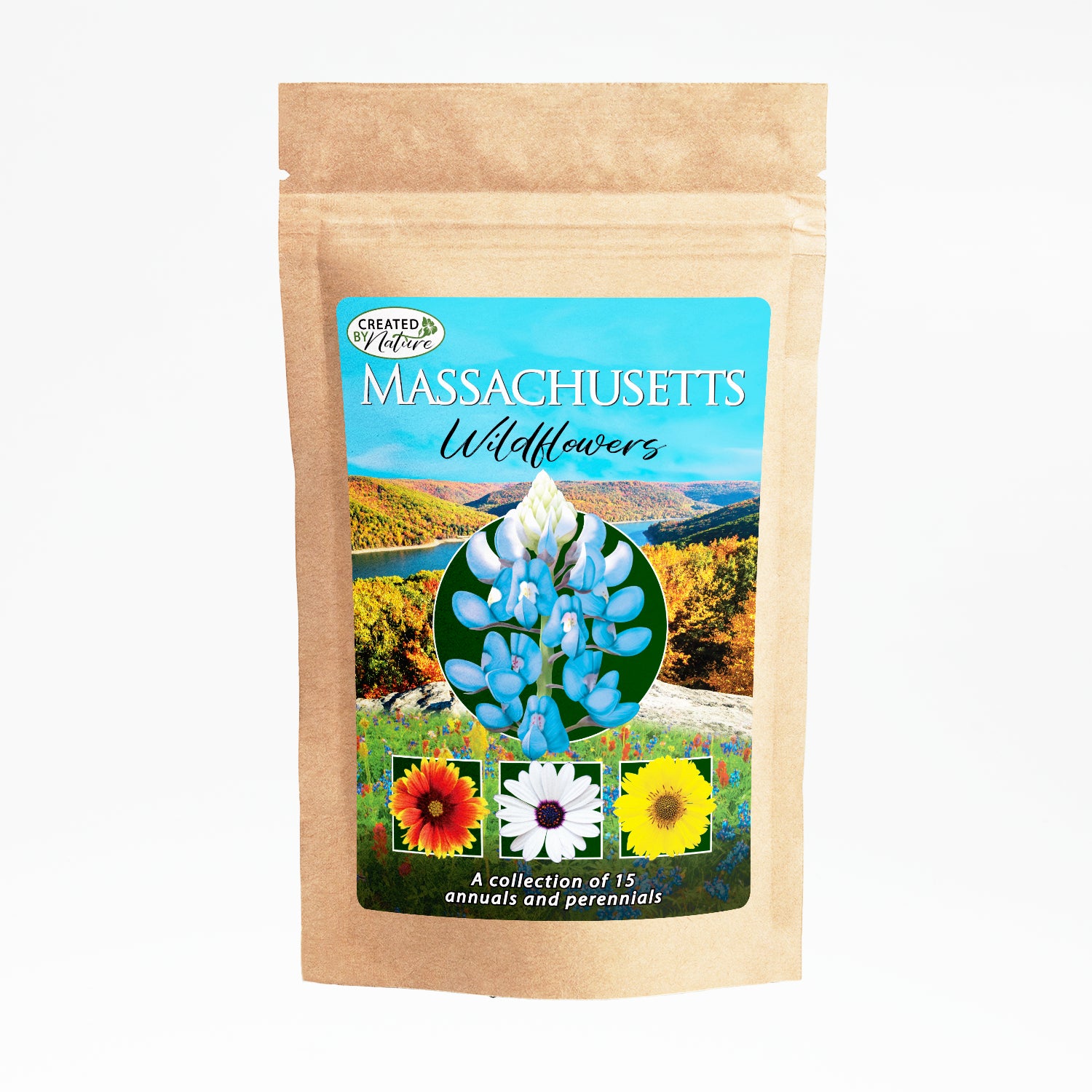 massachusetts native wildflower seeds Massachusetts Wildflower Seed Mix