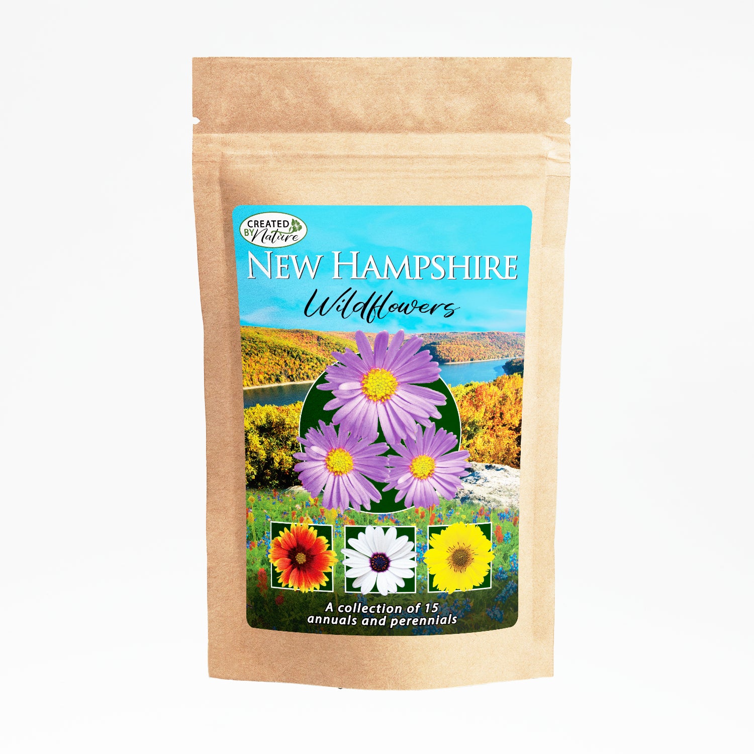 american seed wildflower mix New Hampshire Wildflower Seed Mix