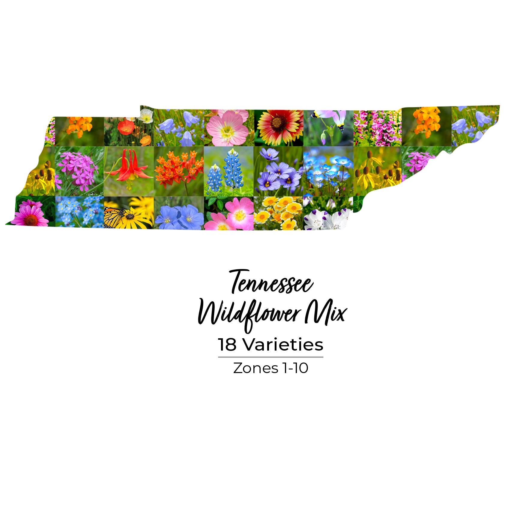 Tennessee wildflower seeds