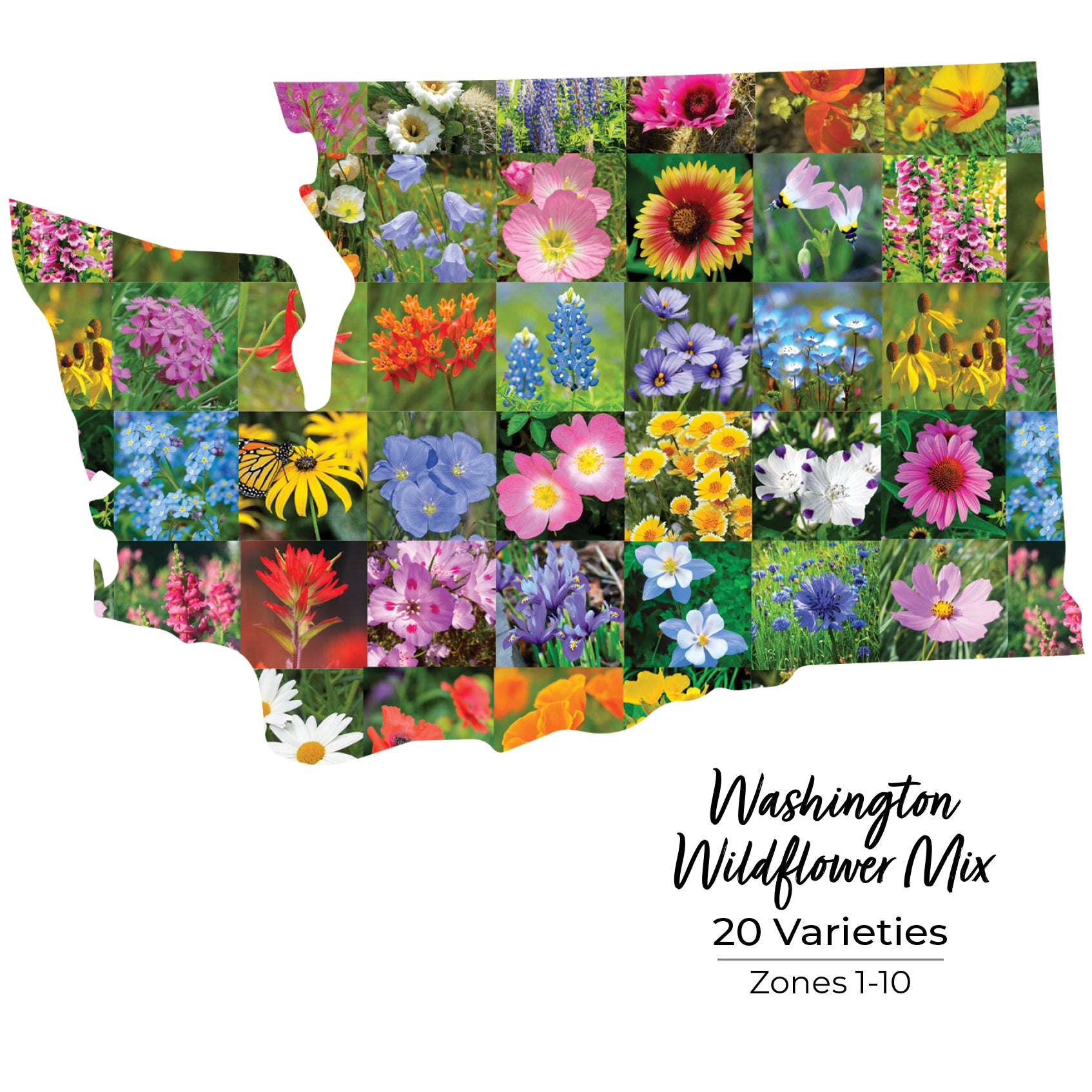 Washington wildflower seeds