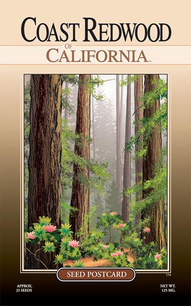 California Redwood Tree Seeds | Created By Nature