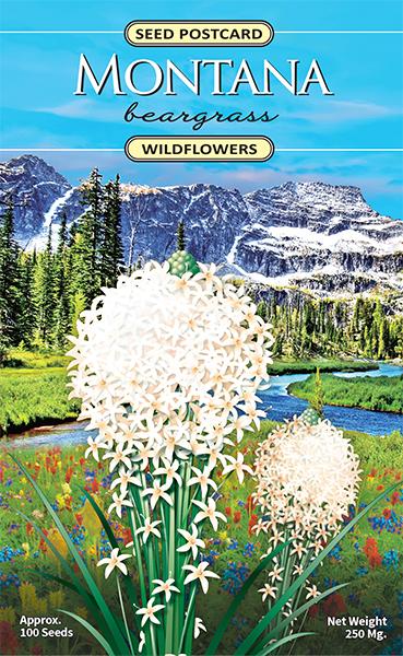Montana Beargrass Seed Packet