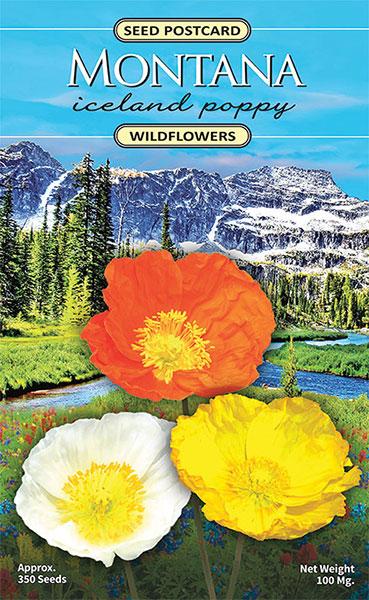 Montana Iceland Poppy Seed Packet