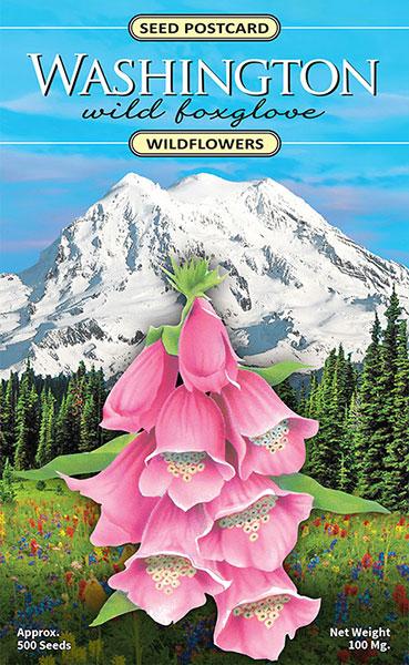 Washington Wild Foxglove Seed Packet