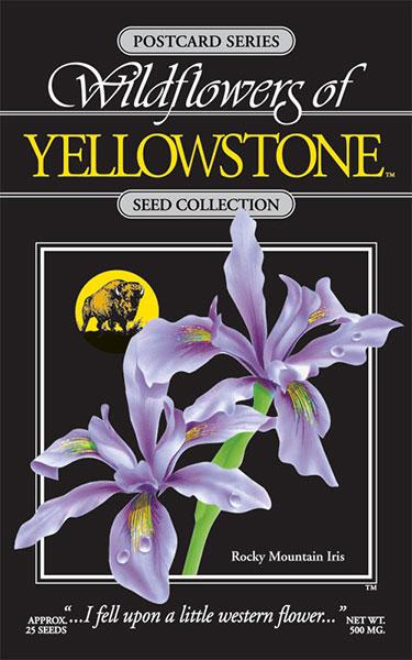  Yellowstone Rocky Mountain Iris Seed Packet