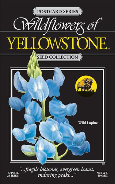 Yellowstone Wild Lupine Seed Packet