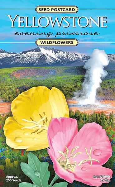 Yellowstone Evening Primrose Seed Packet