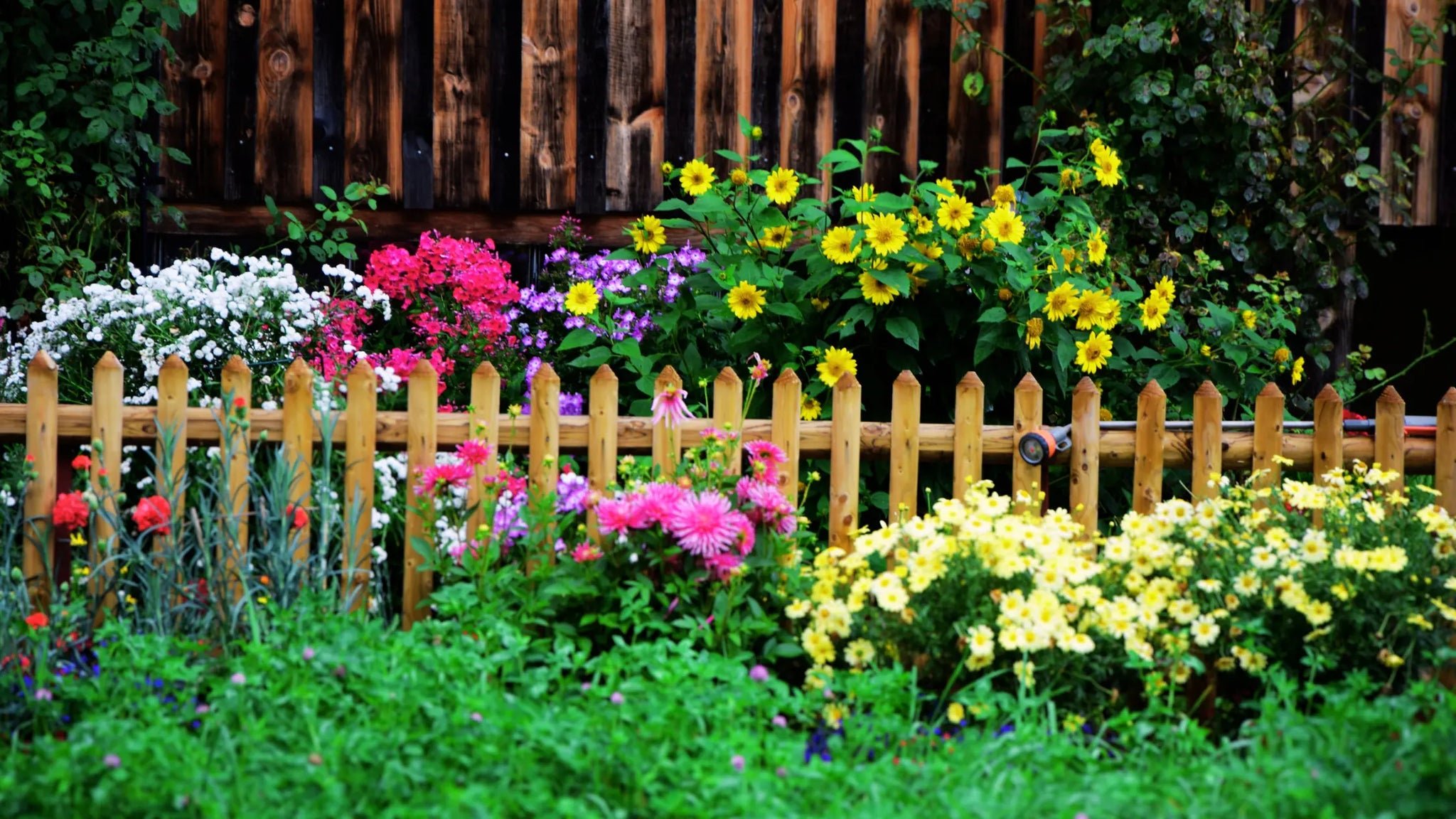 natural ways to keep wildlife out of flower garden