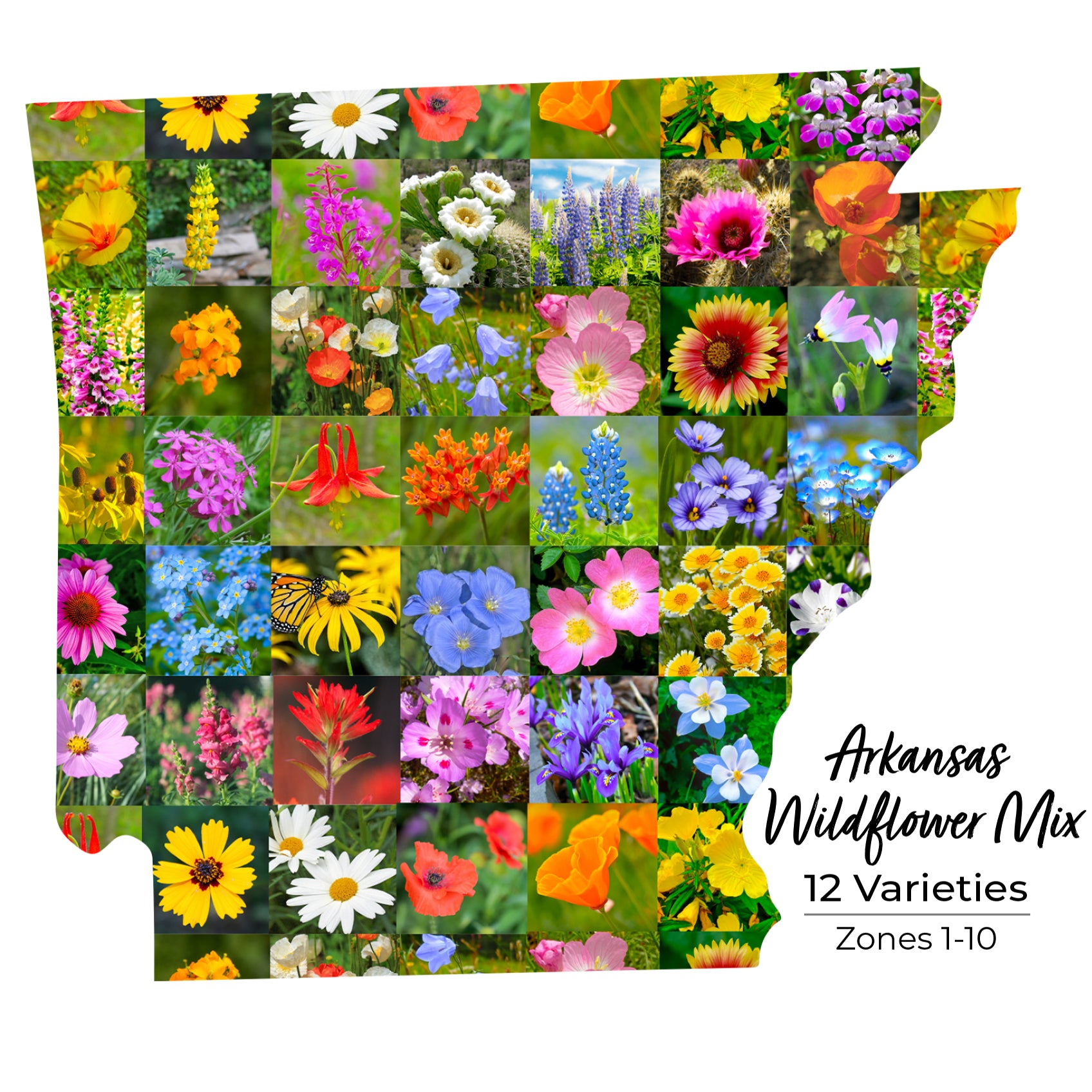 Arkansas wildflower seed mix