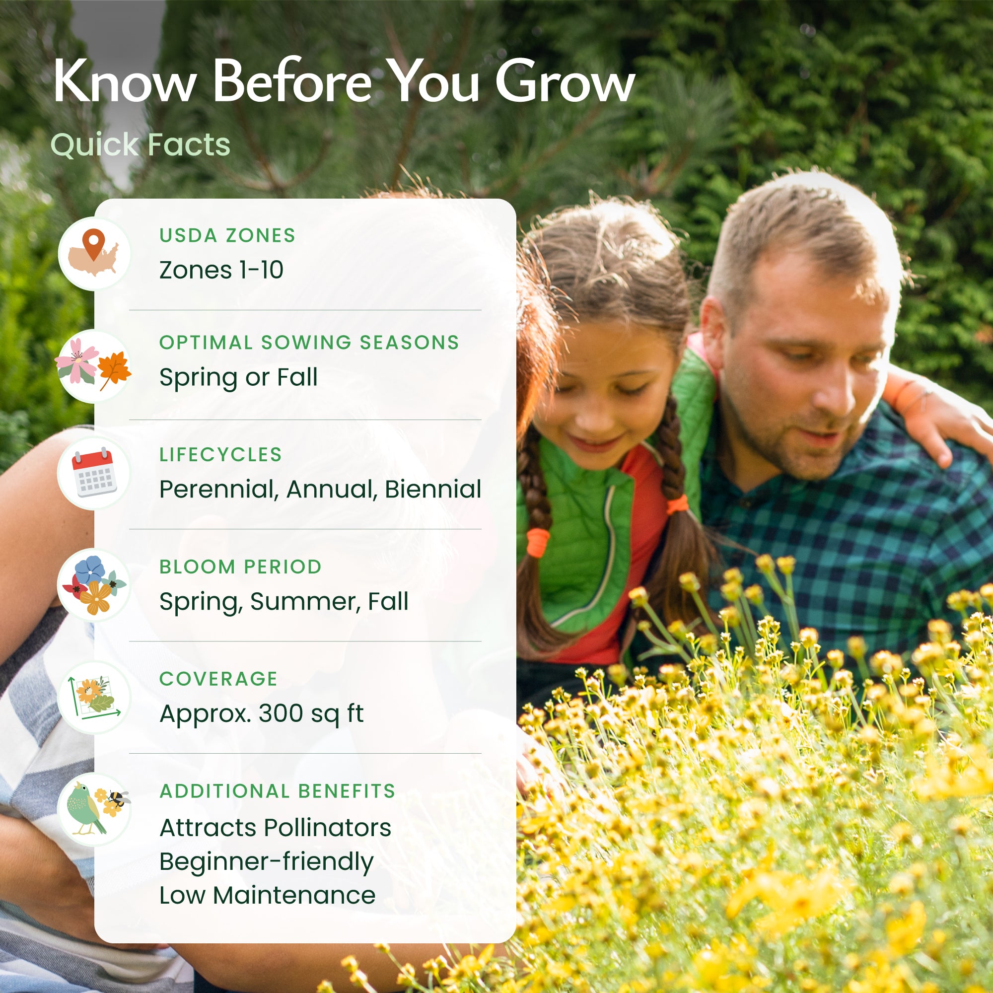 wildflower seed mix coverage New York Wildflower Seed Mix