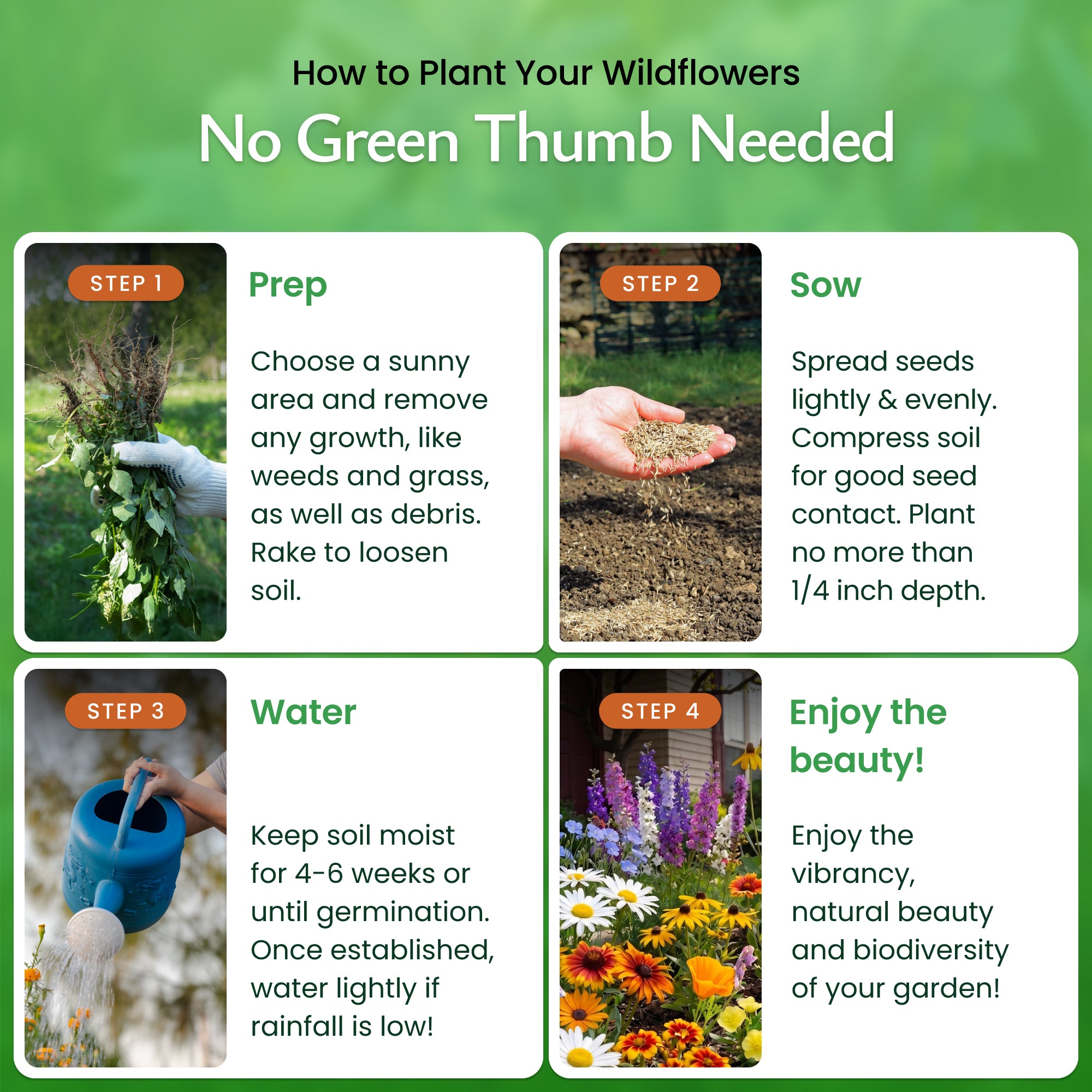 best time to plant grass seed in montana Montana Wildflower Seed Mix