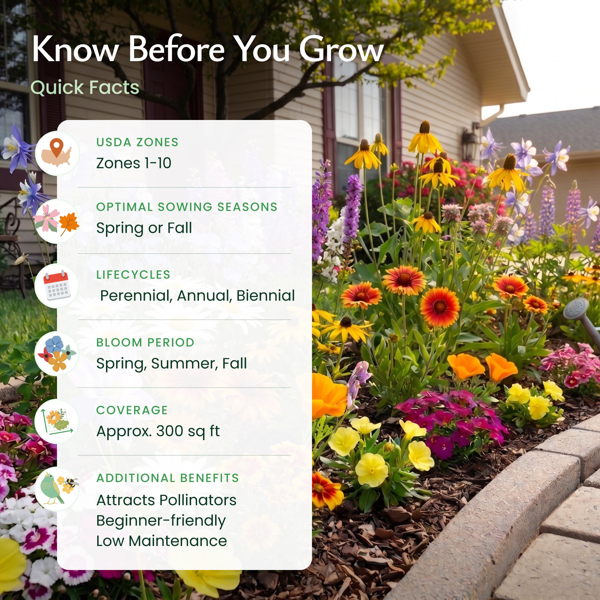 wildflower seed mix coverage Montana Wildflower Seed Mix