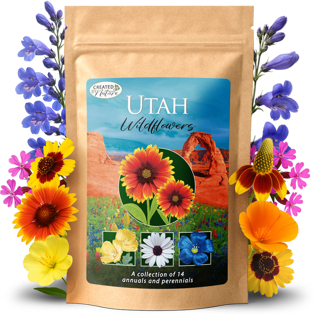 wild irish flower seeds Utah Wildflower Seed Mix