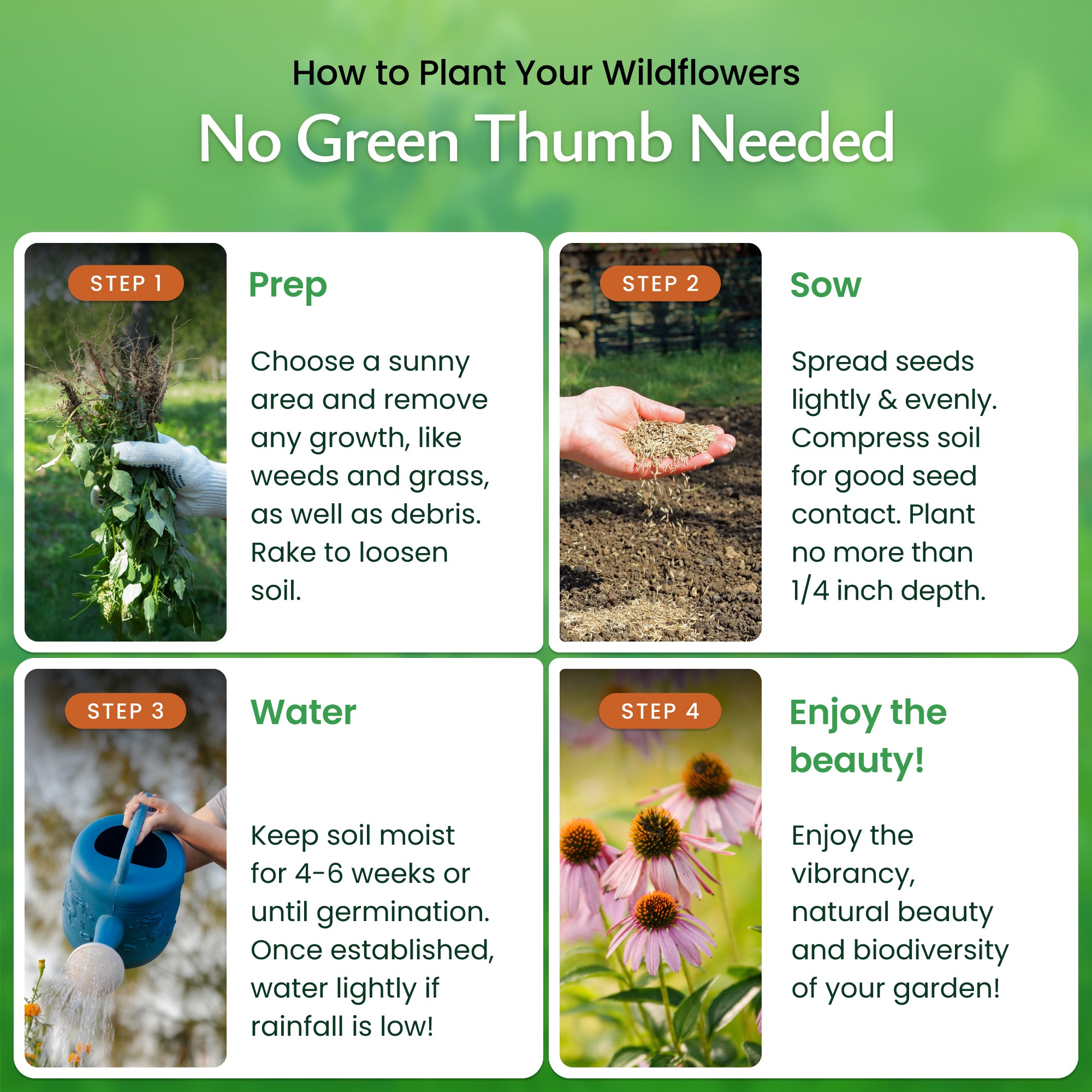 Florida Wildflower Seed Mix
