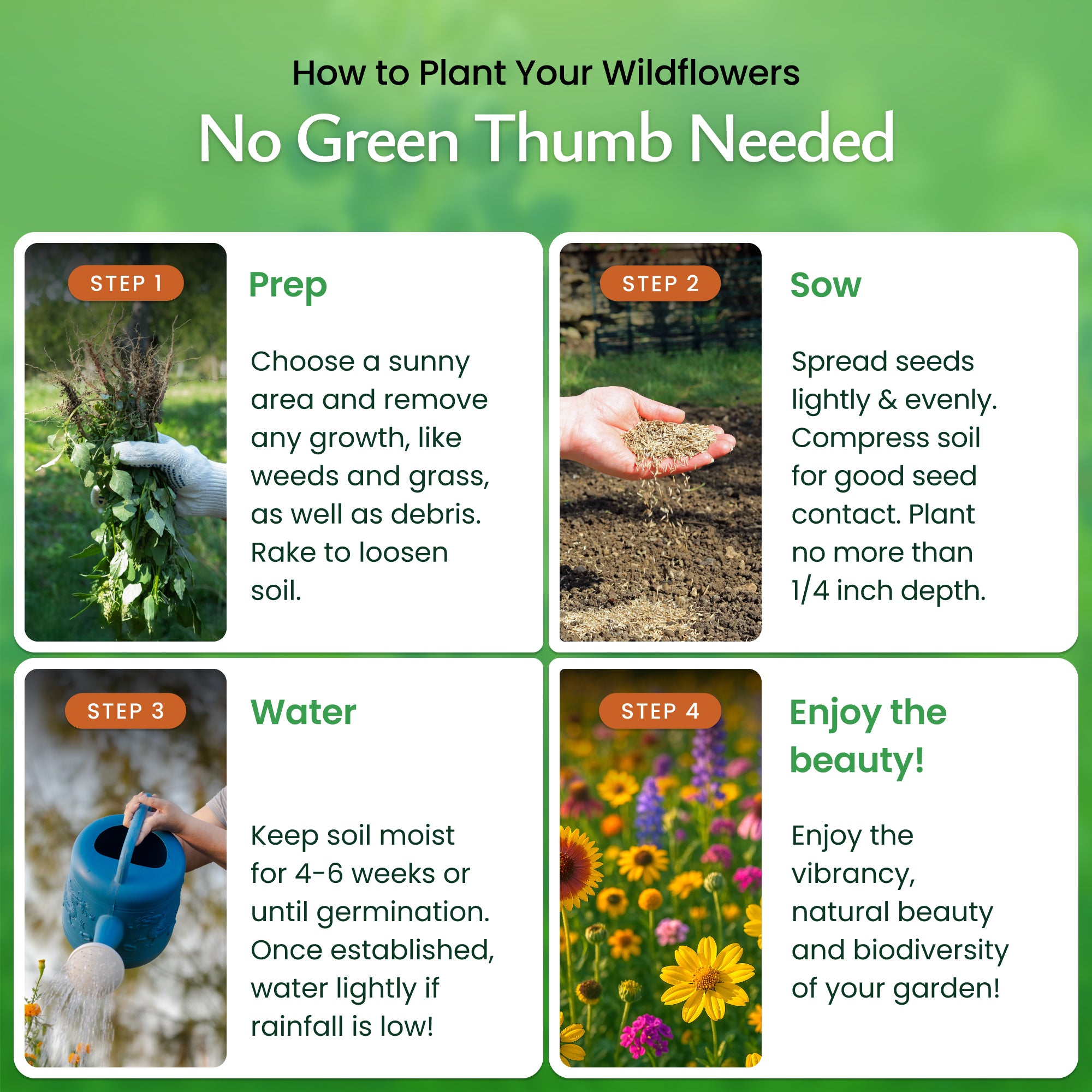 michigan wildflower seed mix Michigan Wildflower Seed Mix