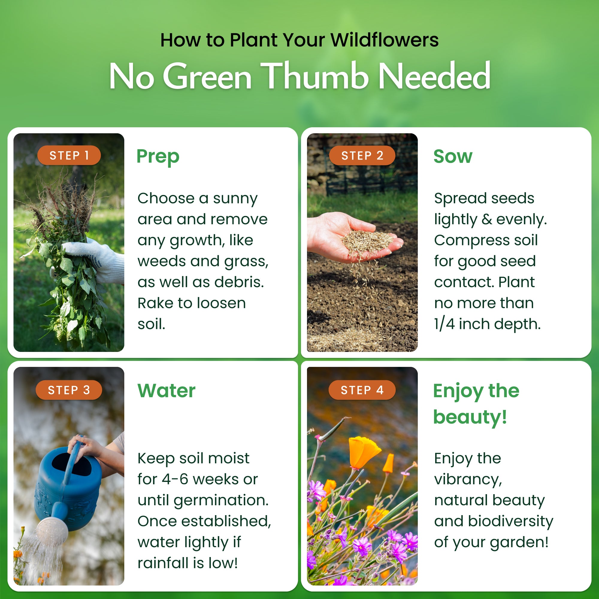 sierra nevada wildflower seeds Created By Nature Nevada Wildflower Seed Mix, 14 Flower Varieties, 30,000 Seeds