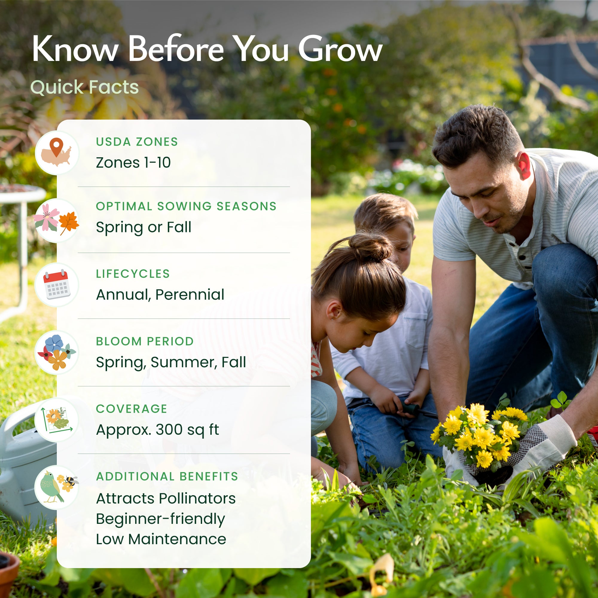 nevada wildflower seeds Created By Nature Nevada Wildflower Seed Mix, 14 Flower Varieties, 30,000 Seeds