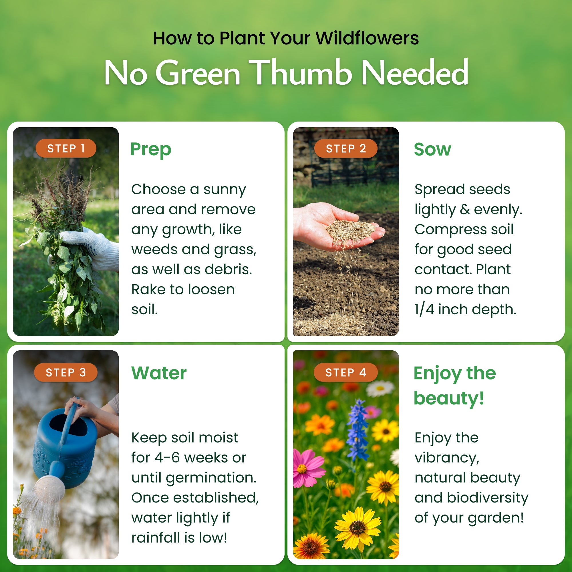 nc wildflower seeds Created By Nature North Carolina Wildflower Seed Mix, 18 Flower Varieties, 35,000 Seeds