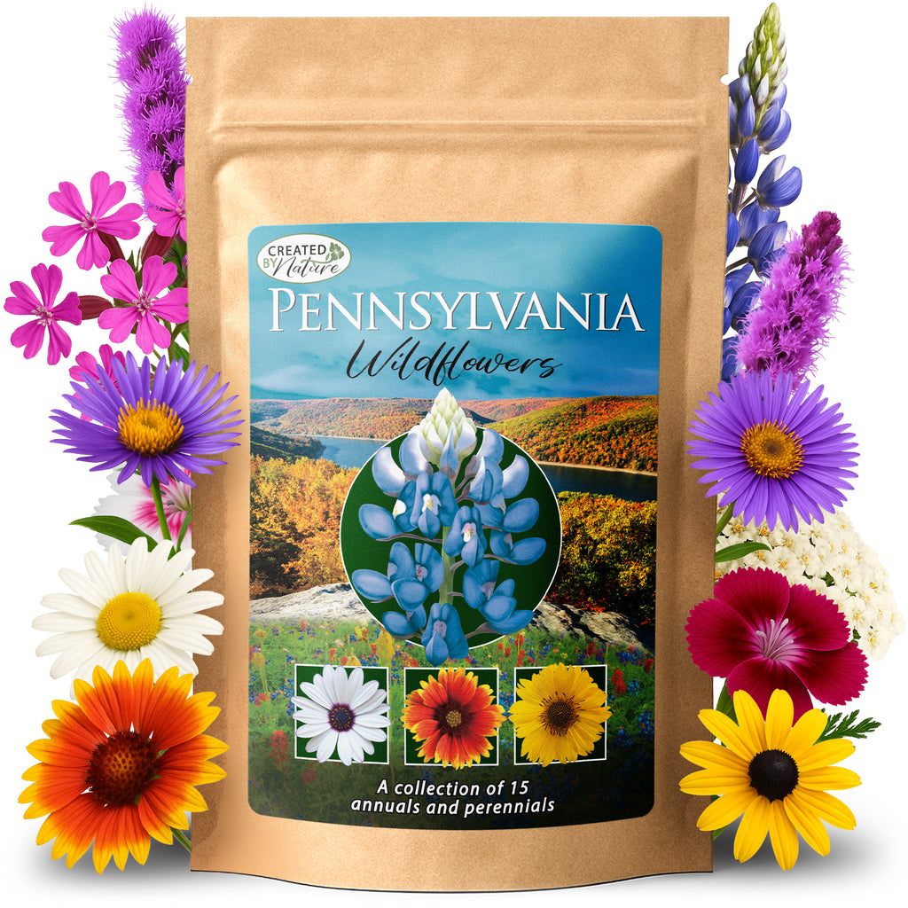 large bags of wildflower seeds California Giant Zinnia Wildflower Seeds