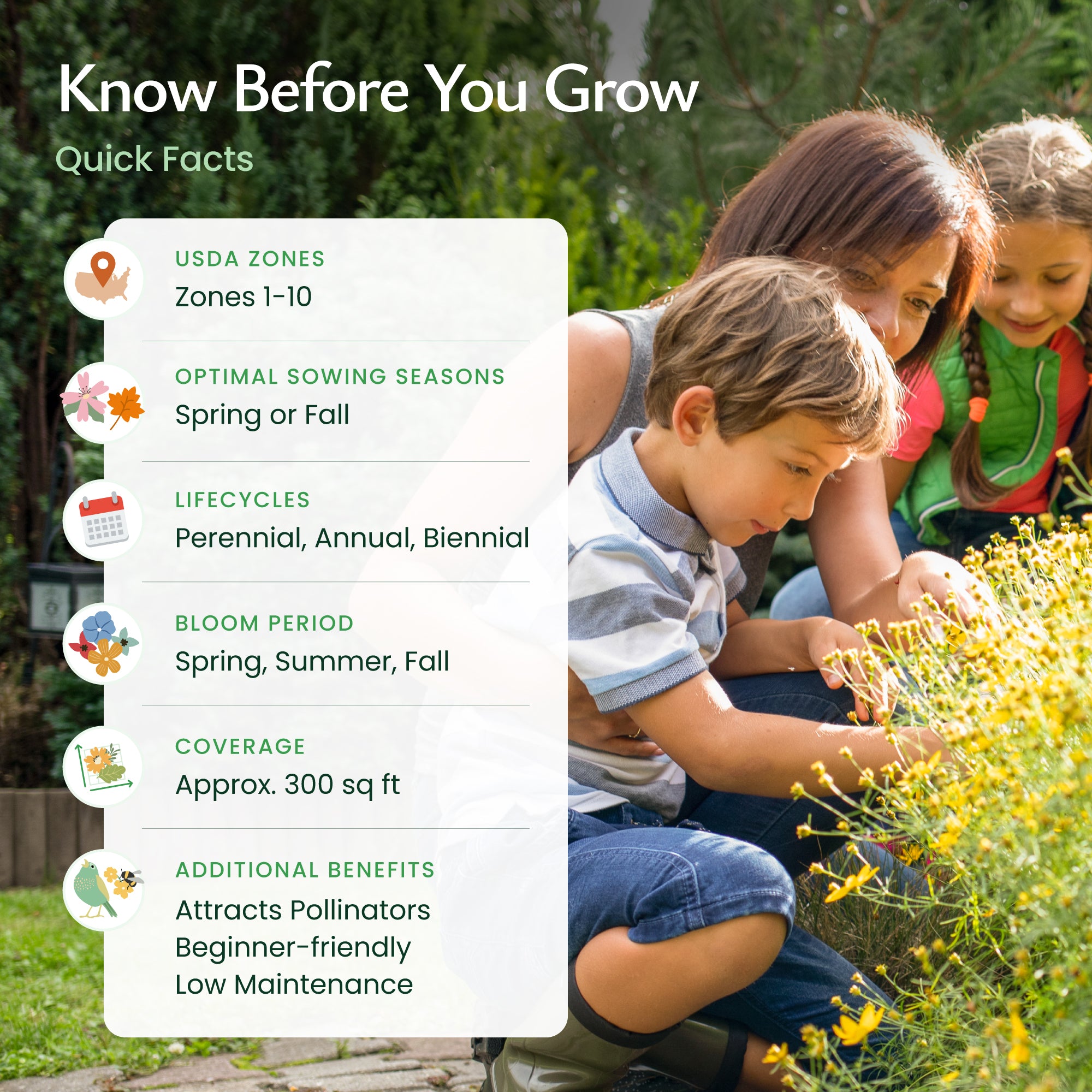 Tennessee Wildflower Seeds - Flower Seed Mix