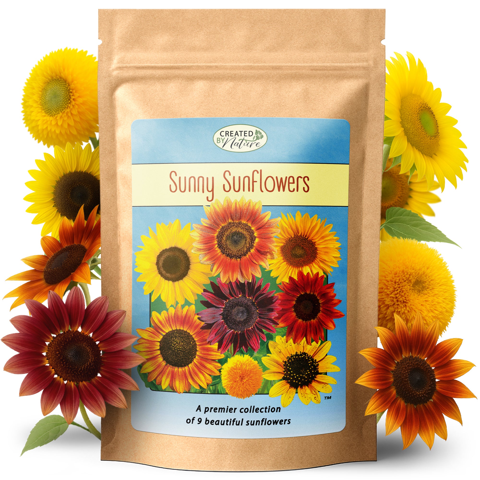 pimento seeds for planting Trinidad Pimento Pepper Seeds for Planting  Heirloom, Non-GMO Aromati   Earthechoseeds