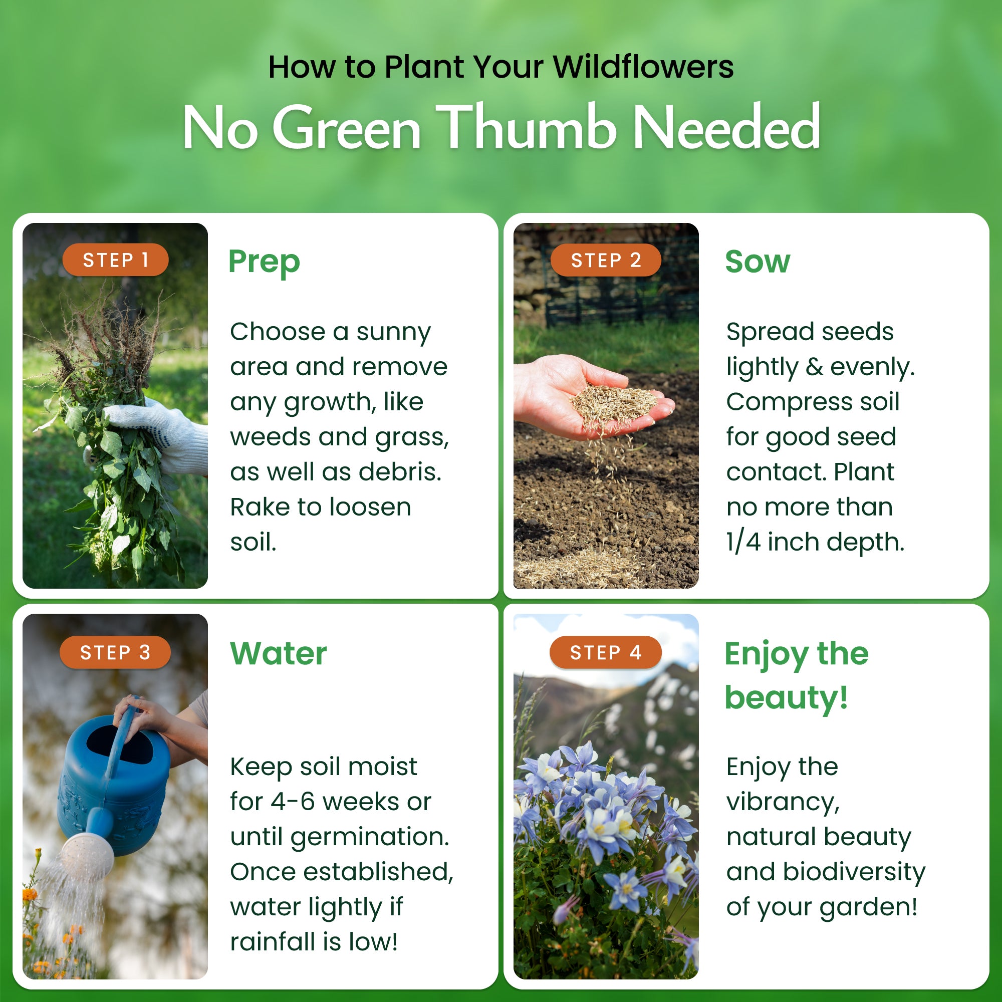 alaska wildflower seed mix Alaska Wildflower Seed Mix