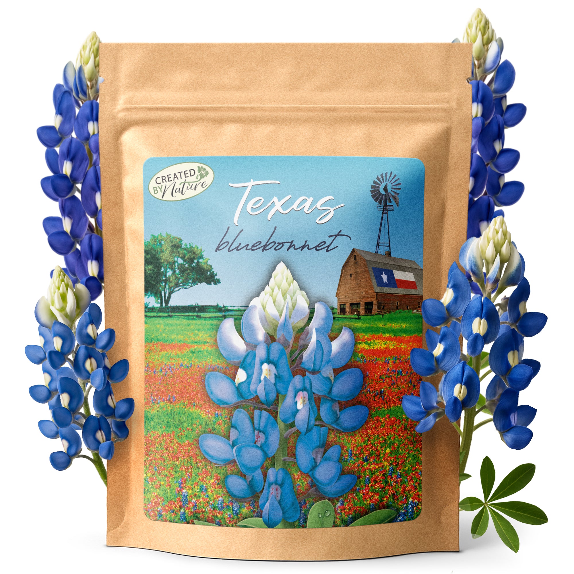 new jersey wildflower seed mix New Jersey Wildflower Seed Mix